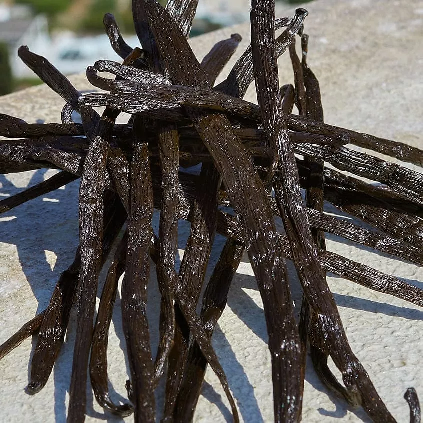 Devotion Парфюмерная вода купить в VISAGEHALL