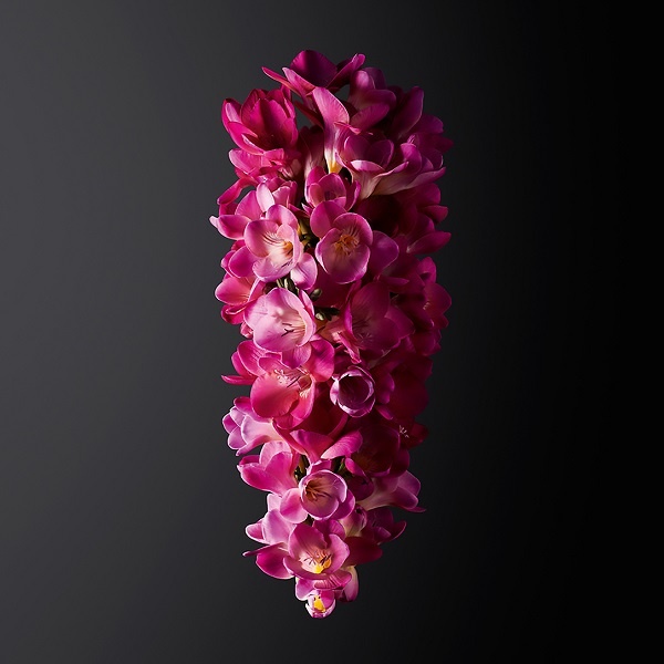 Ginza Парфюмерная вода купить в VISAGEHALL