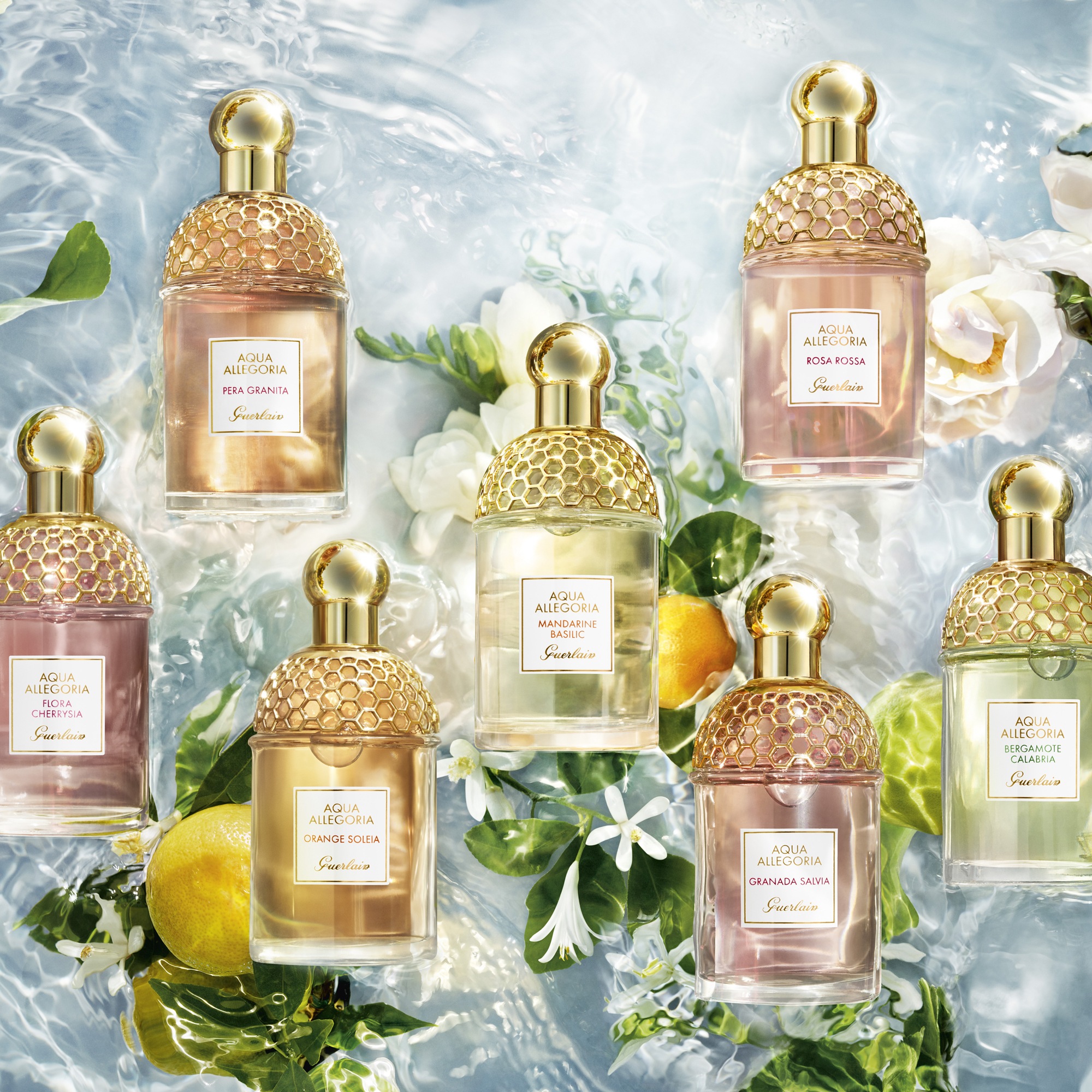 Aqua Allegoria Flora Salvaggia Туалетная вода  купить в VISAGEHALL