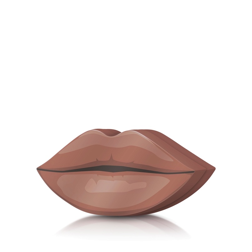 Набор Perfect Lip Kit Bare Beauty купить в VISAGEHALL