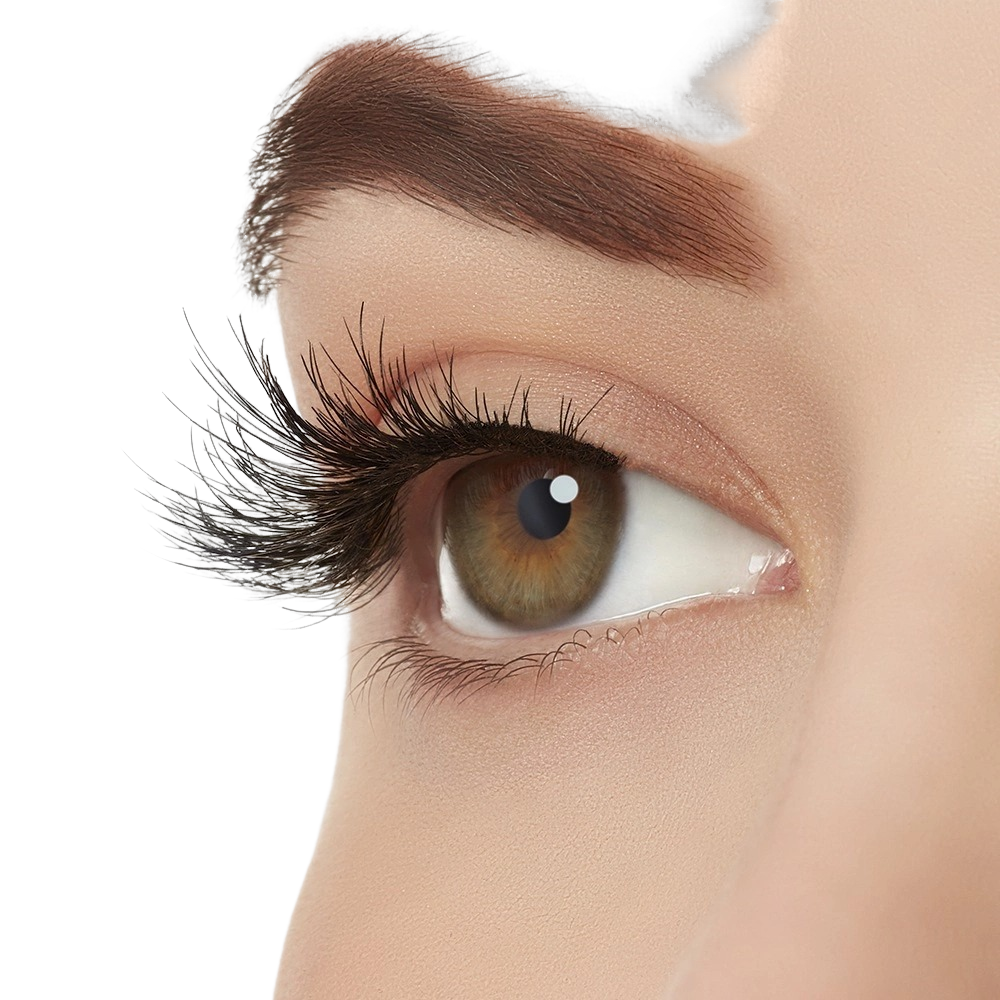 Ресницы накладные Naked Lashes 429  купить в VISAGEHALL