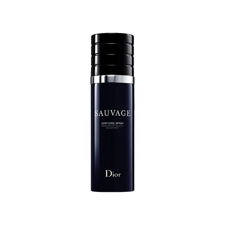 SAUVAGE VERY COOL SPRAY~Туалетная вода купить в VISAGEHALL