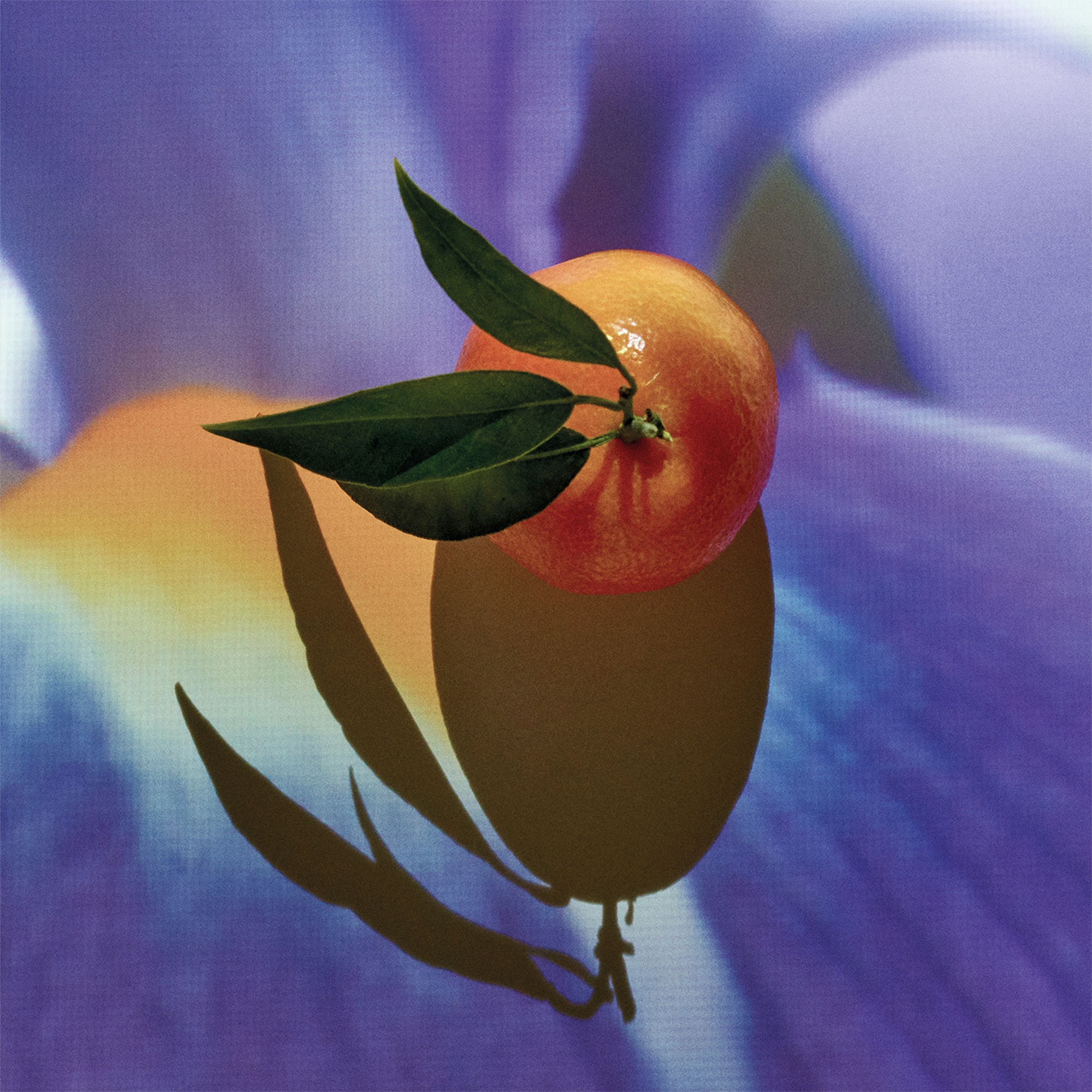 Loewe Solo Elixir Парфюмерная вода