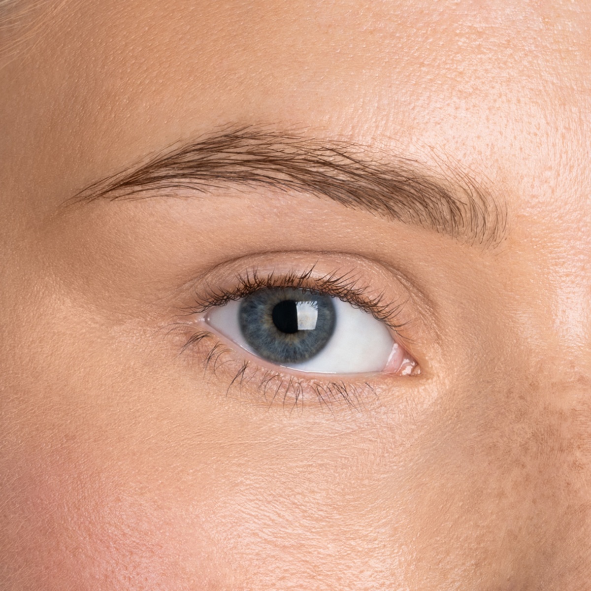 Масло для роста бровей Magic Brow Oil купить в VISAGEHALL