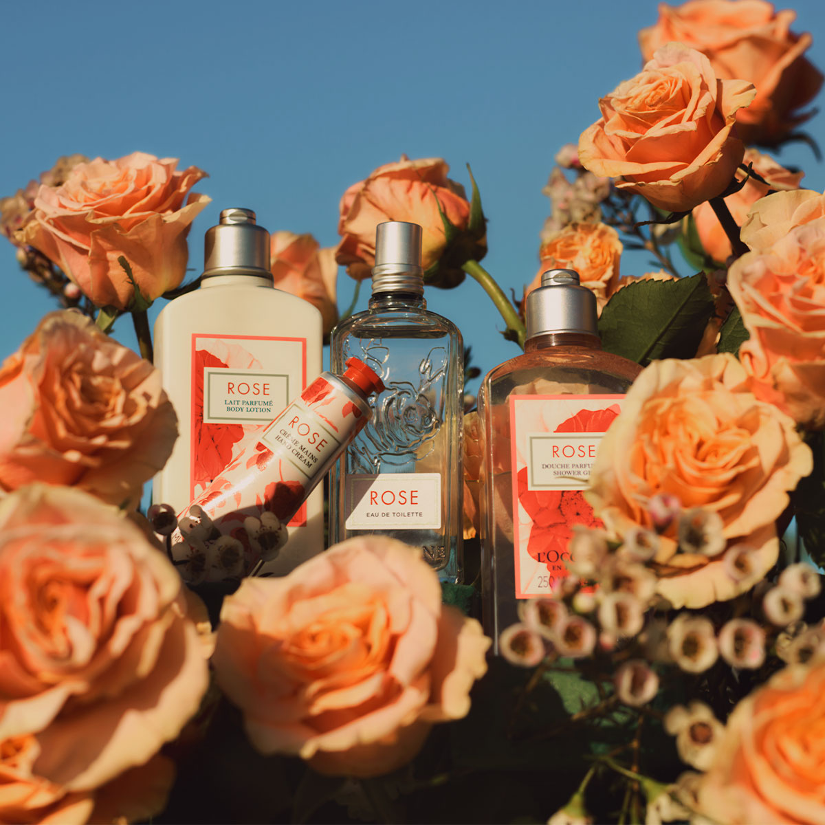 Гель для душа Rose
