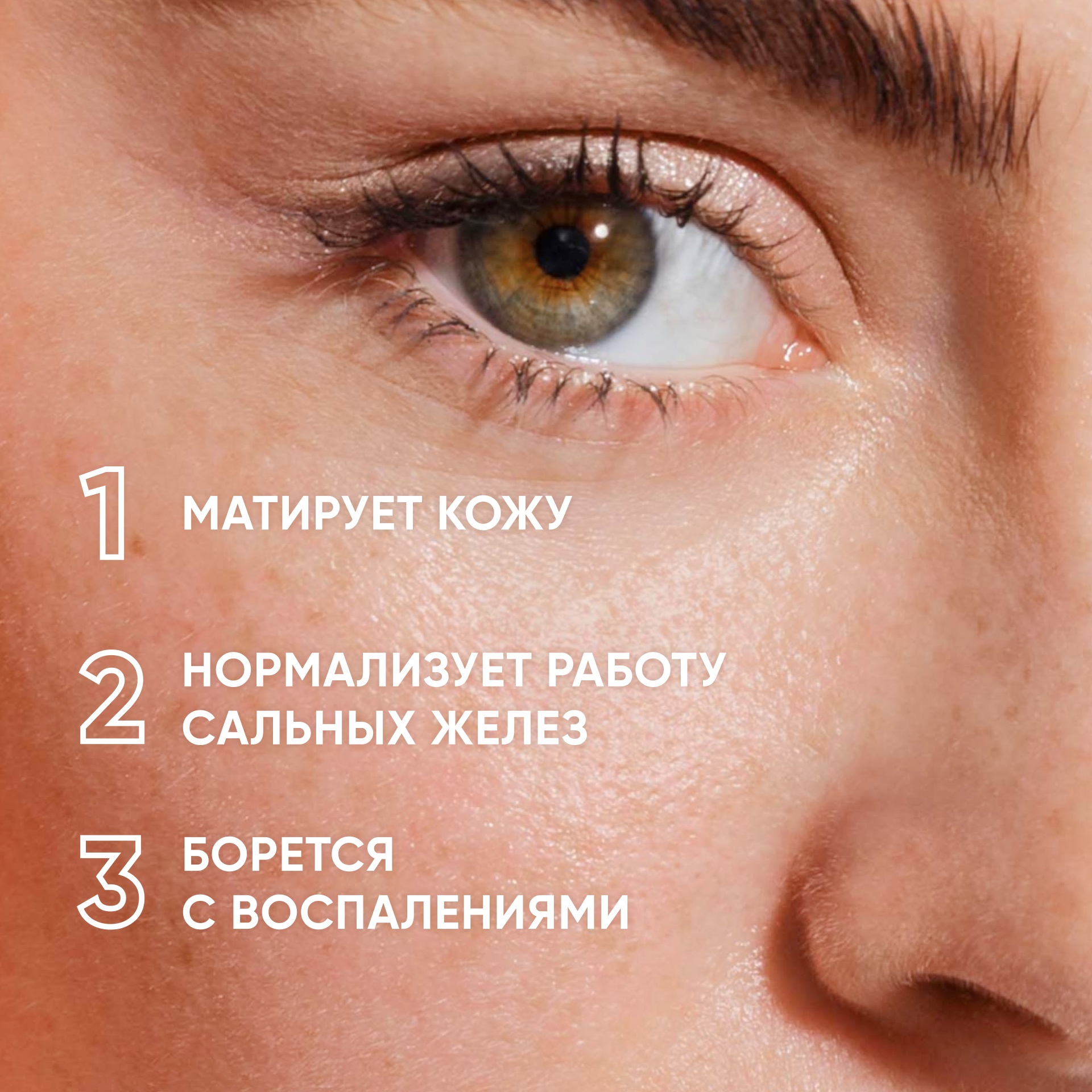 Пудра минерально-растительная себостатическая Sebum Lock купить в VISAGEHALL
