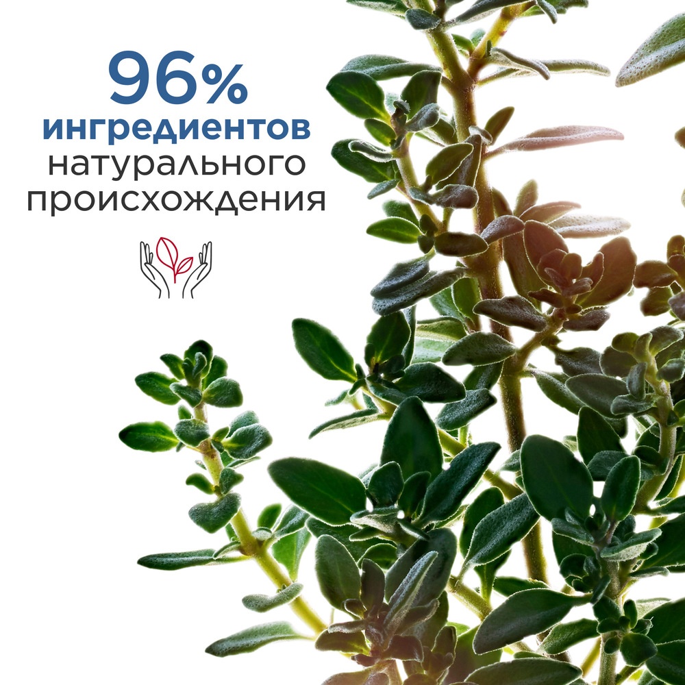 Концентрат для лица против морщин Men Soin Lissant Rides Fermete