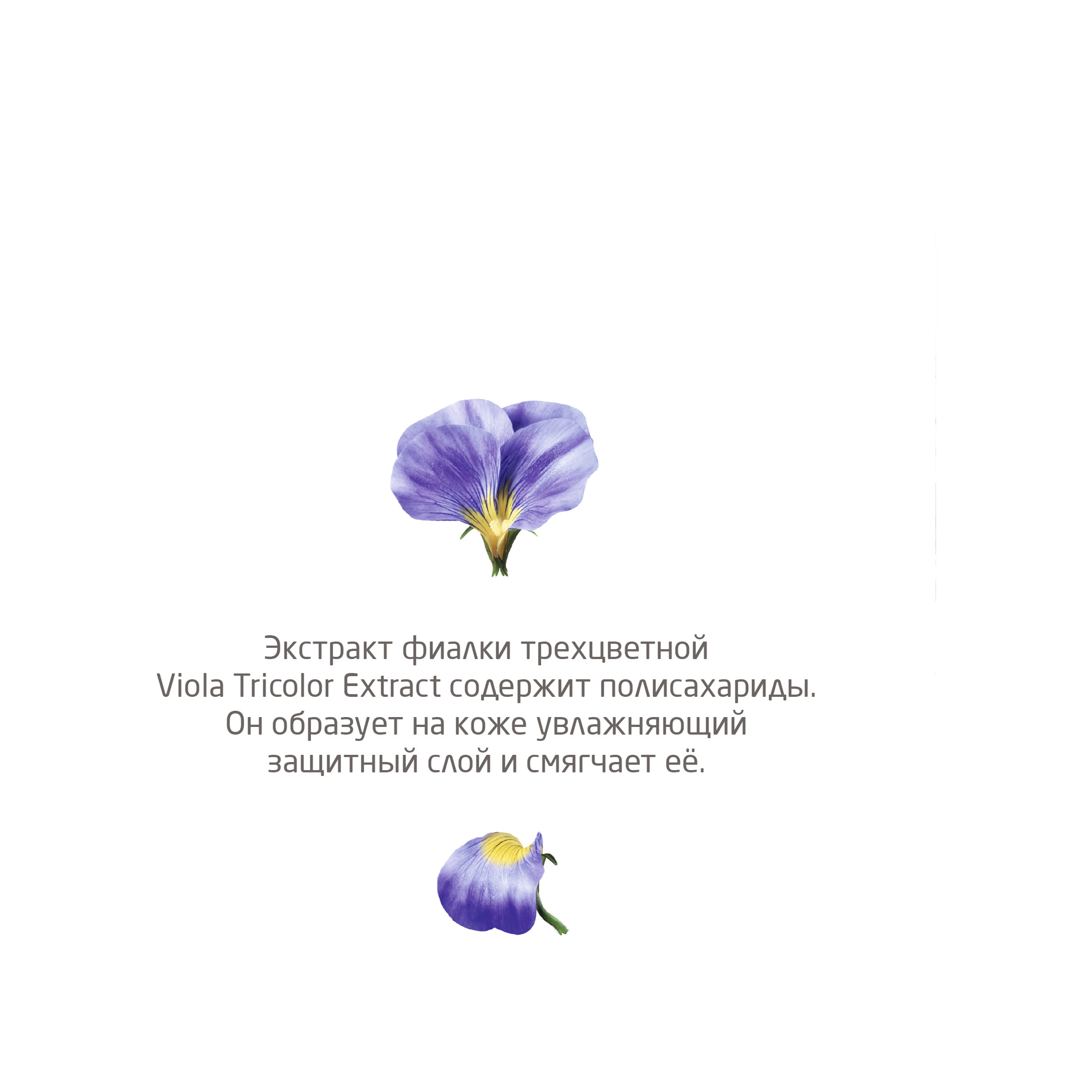Крем-масло для тела Skin Food  купить в VISAGEHALL