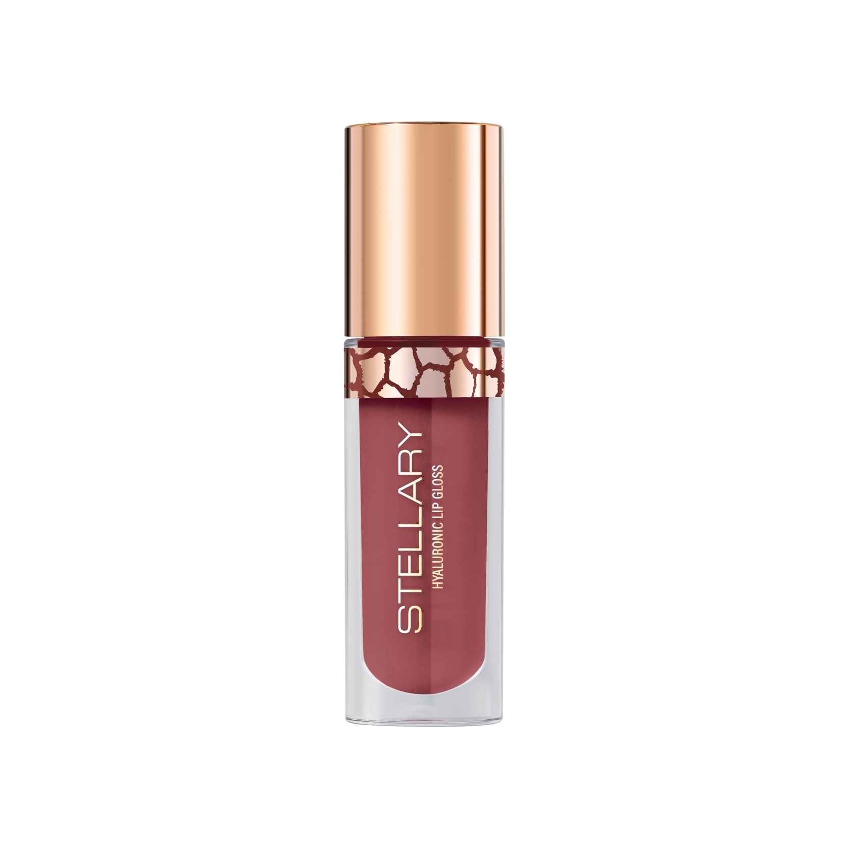Блеск для губ Lipgloss Big Lips
