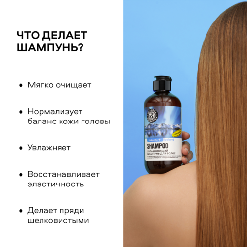 Шампунь для волос Увлажняющий Ticket to Iceland купить в VISAGEHALL