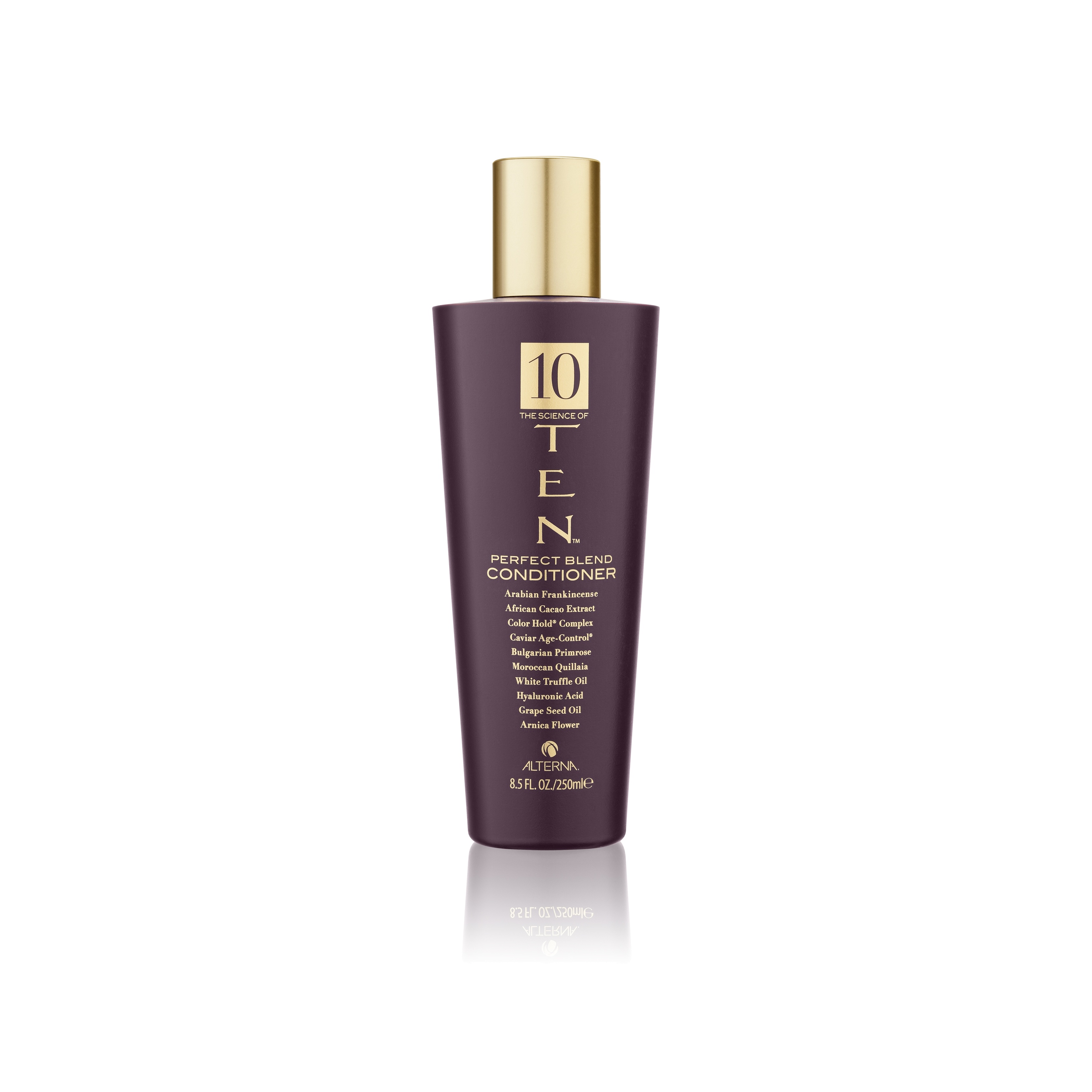 Кондиционер Совершенная формула The Science of Ten Perfect Blend Conditioner 250мл купить в VISAGEHALL