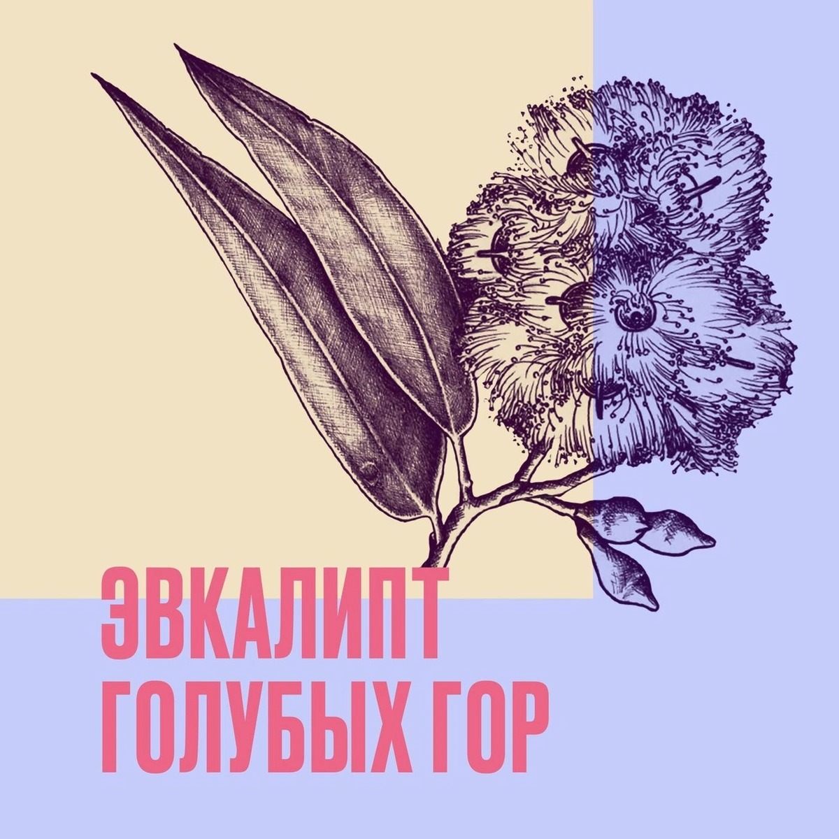 Бальзам-ополаскиватель для ежедневного использования Mega купить в VISAGEHALL