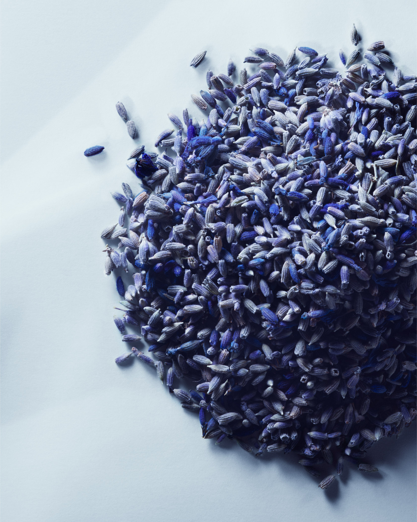 Metal Lavender Парфюмерная вода