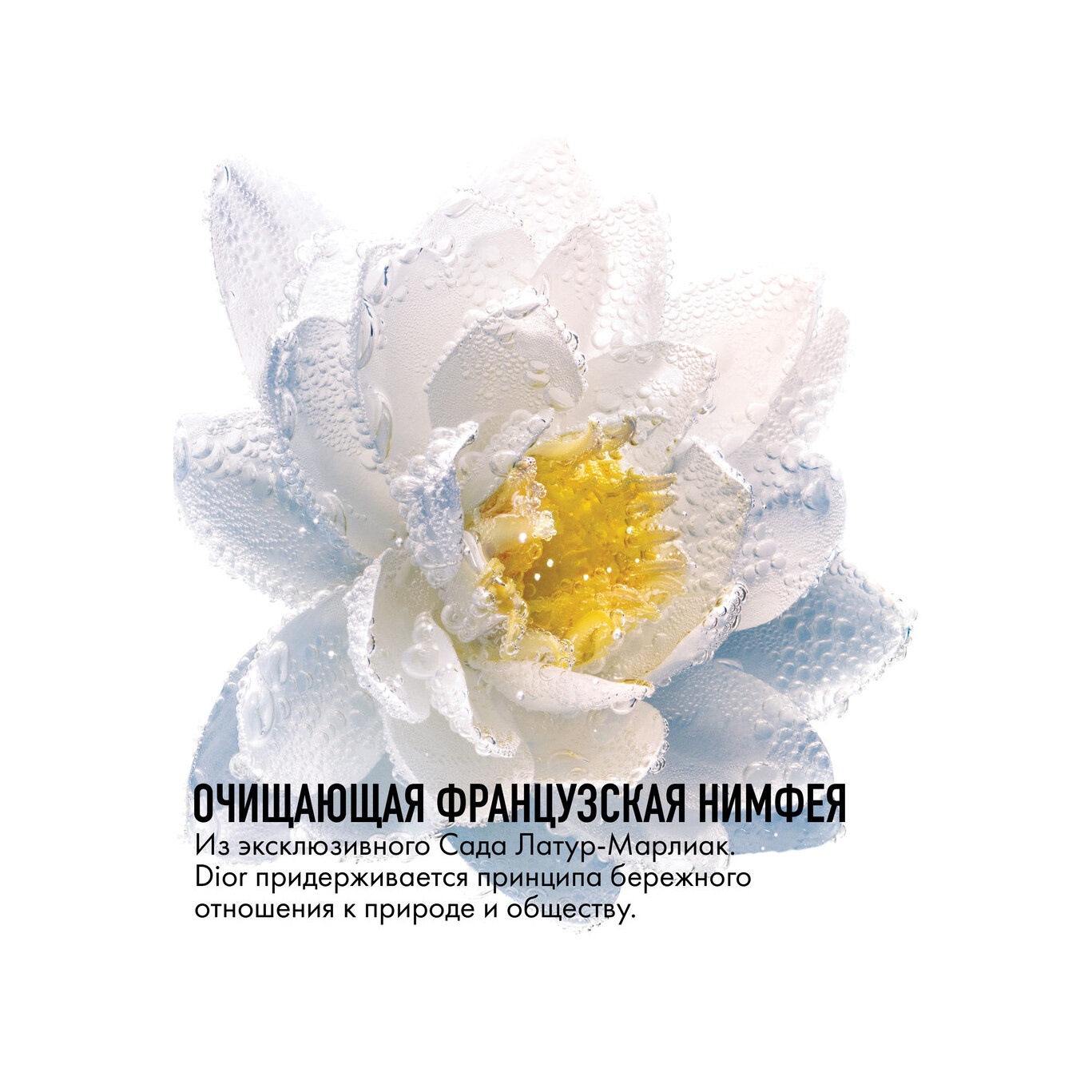 Молочко для лица и глаз очищающее с экстрактом нимфеи L`Eau Demaquillante купить в VISAGEHALL