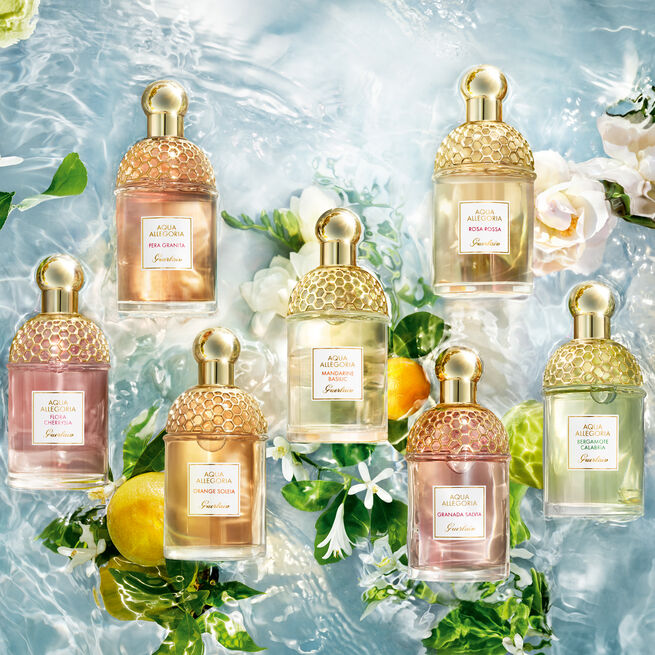 Aqua Allegoria Orange Soleia Туалетная вода купить в VISAGEHALL