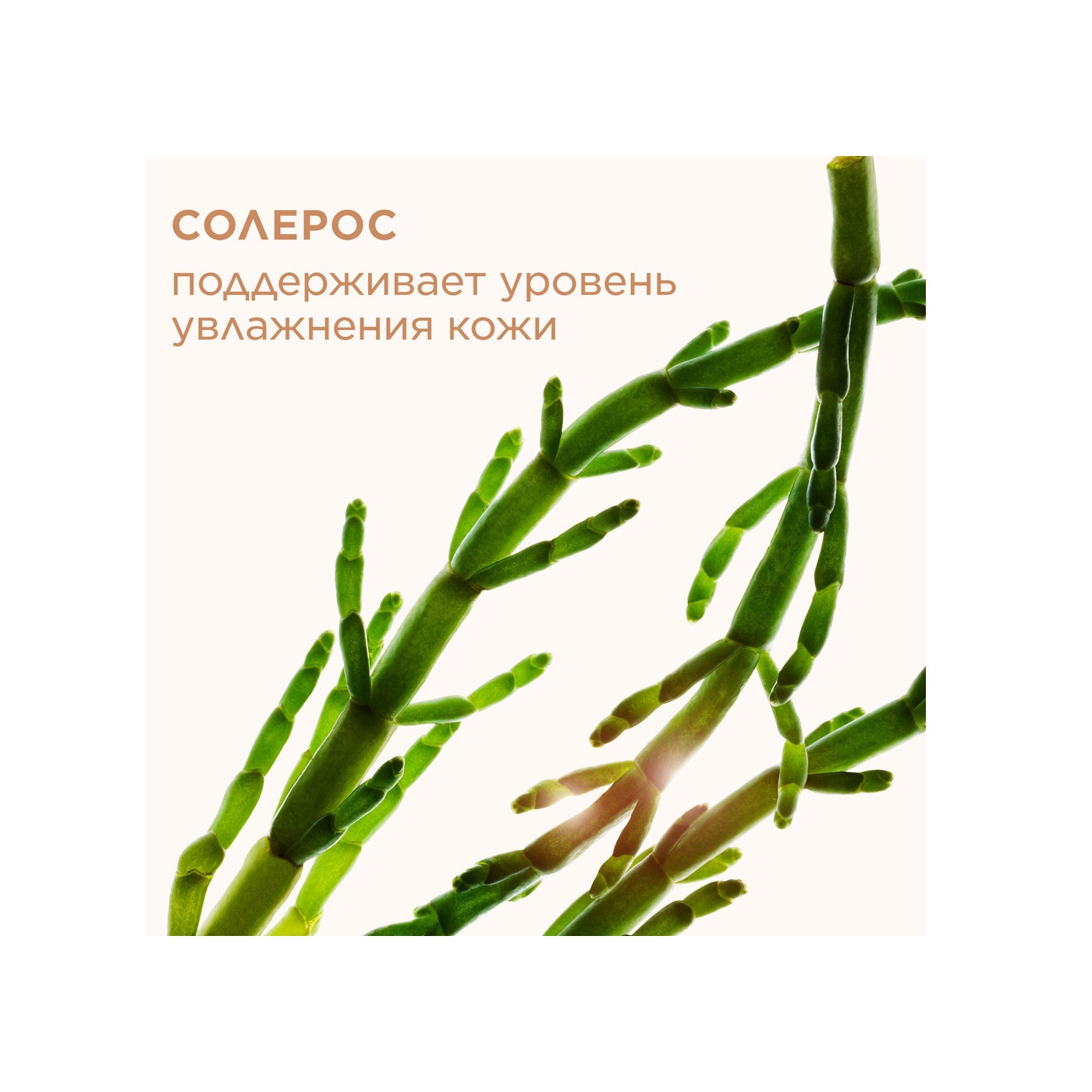 Пудра матирующая компактная Ever Matte