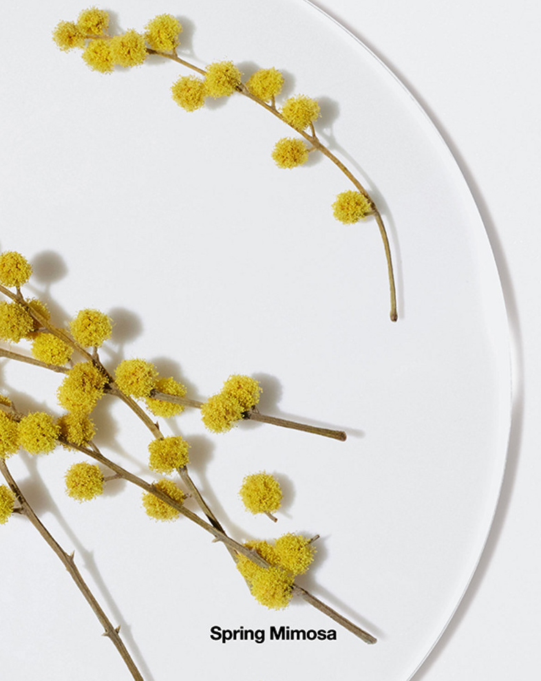 Happy femme Парфюмерная вода  купить в VISAGEHALL