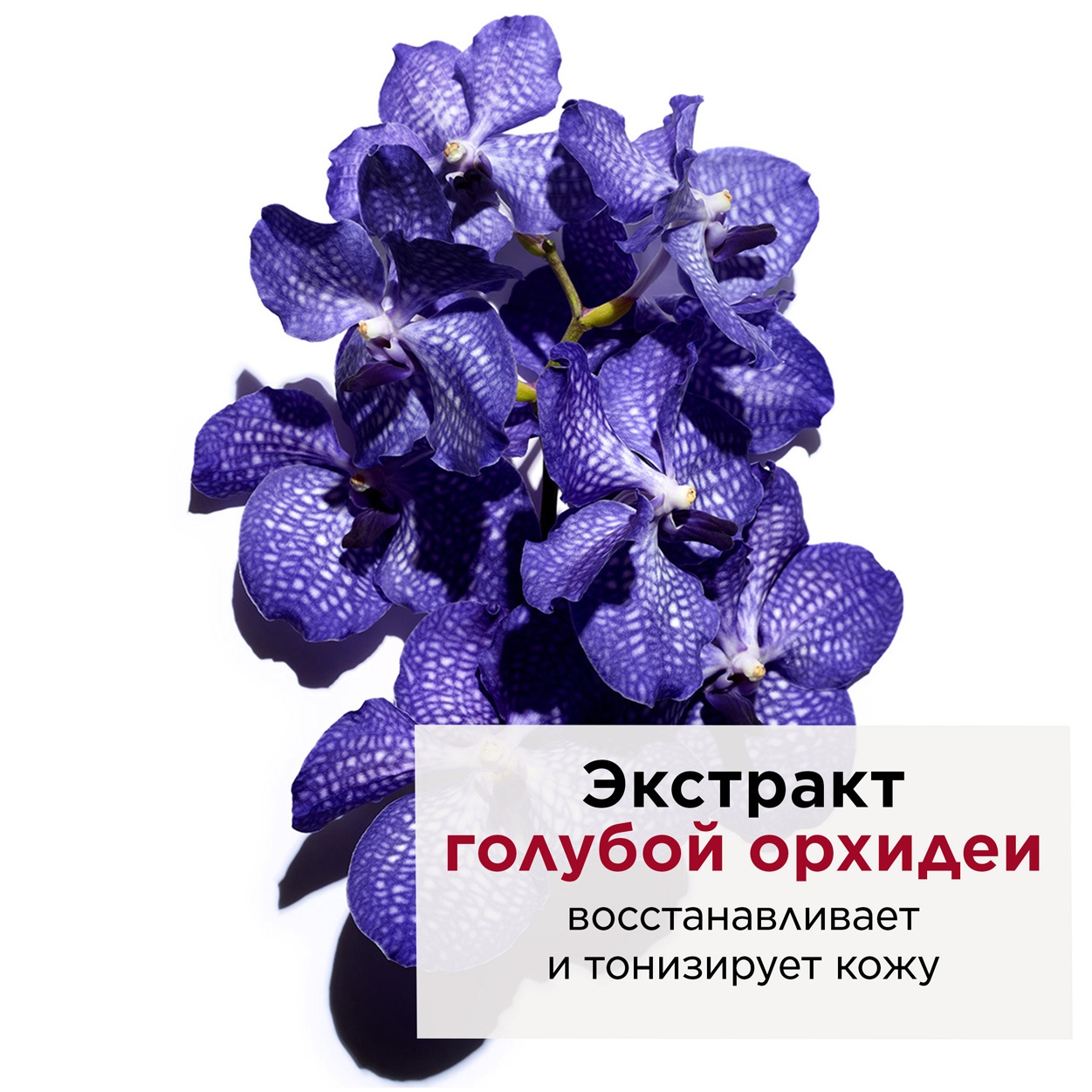 Масло косметическое для обезвоженной кожи Huile Orchid Blue