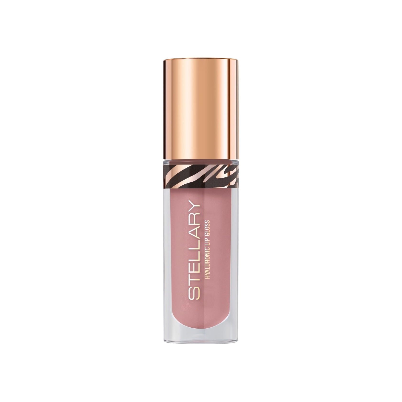 Блеск для губ Lipgloss Big Lips