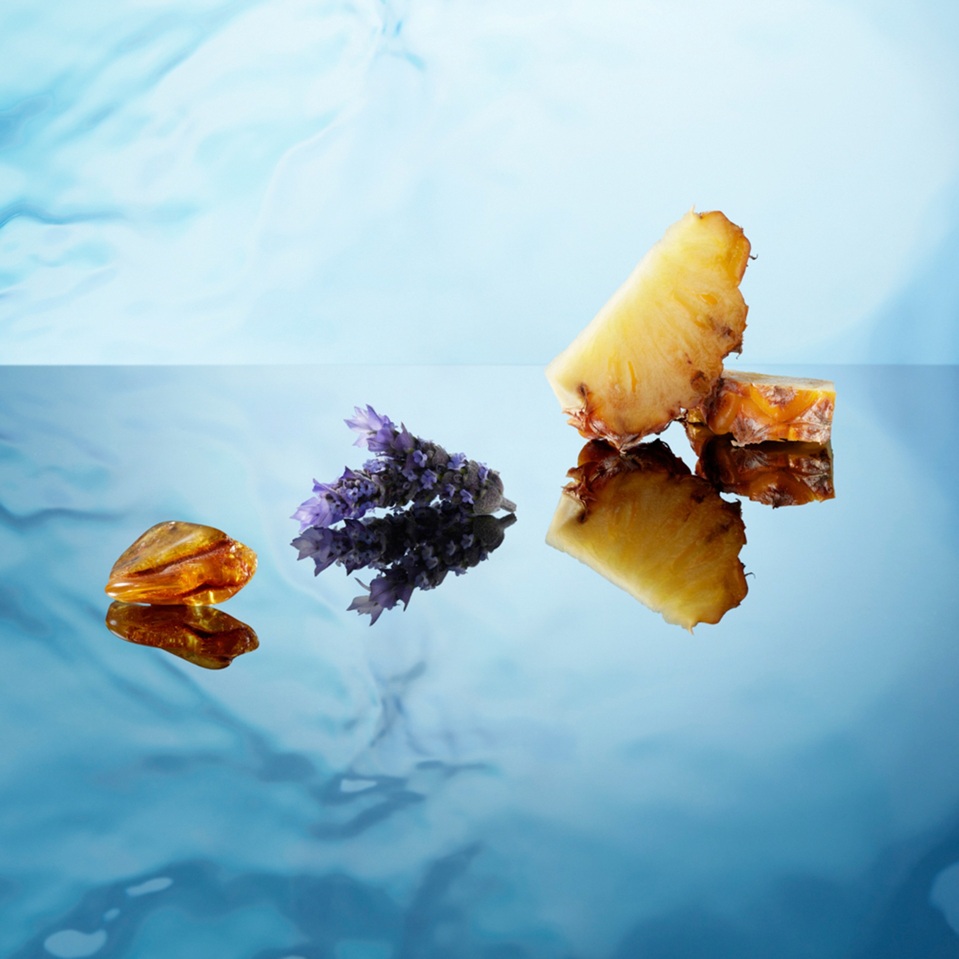 King Of Seduction homme Туалетная вода купить в VISAGEHALL