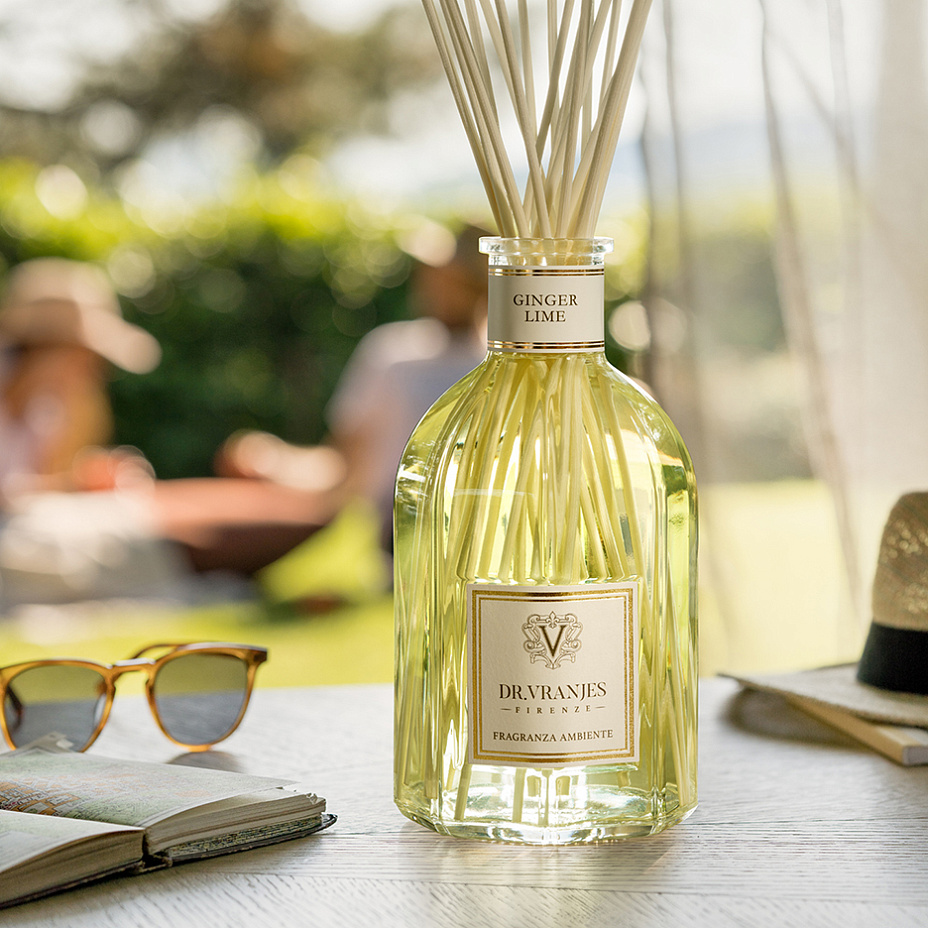 Ароматический диффузор для дома Ginger Lime купить в VISAGEHALL