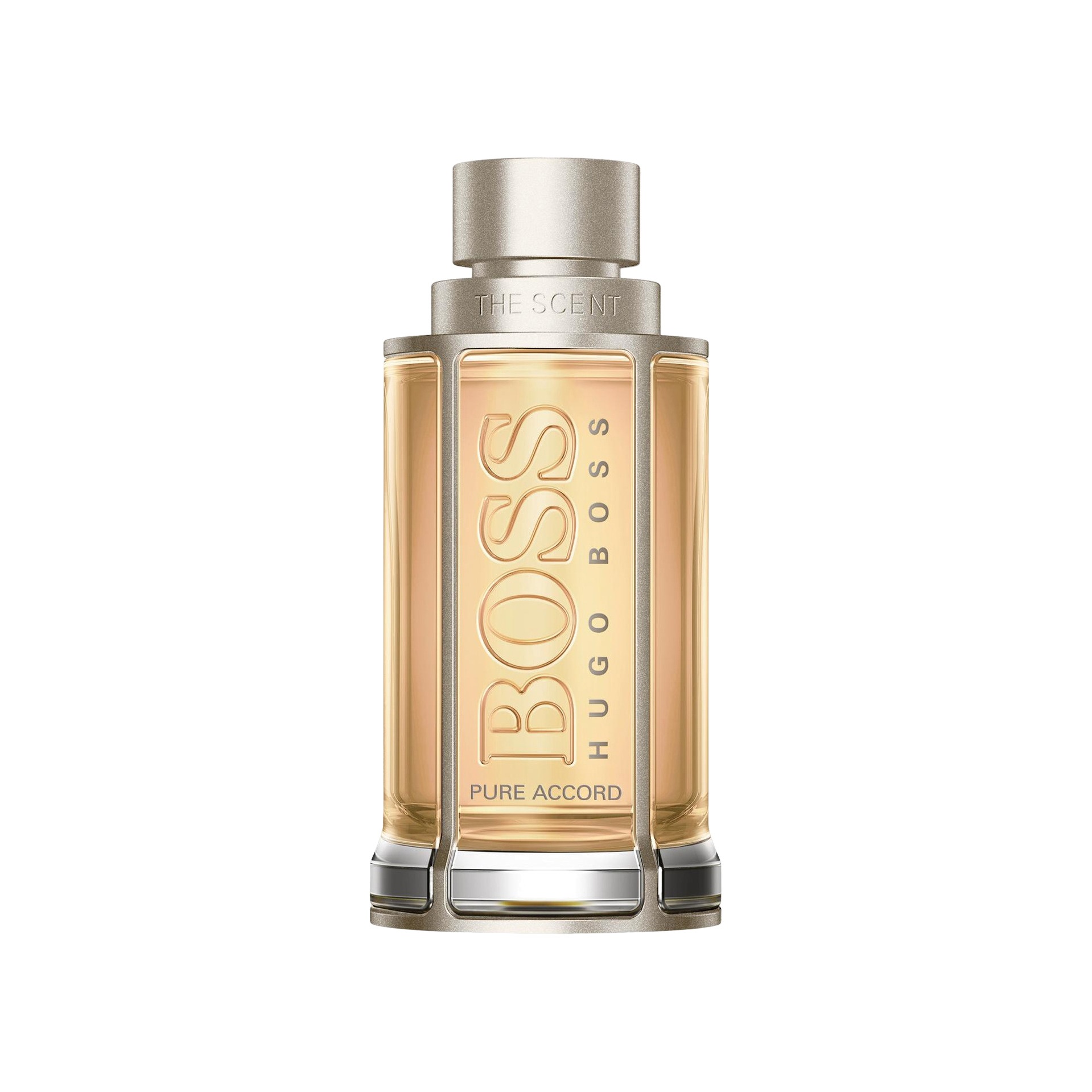 Scent Pure Accord Man Туалетная вода  купить в VISAGEHALL