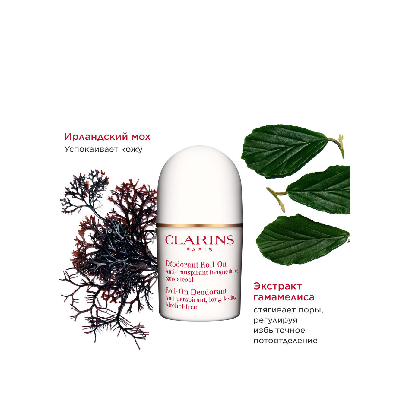 Дезодорант шариковый универсальный Specifiques Corps  купить в VISAGEHALL