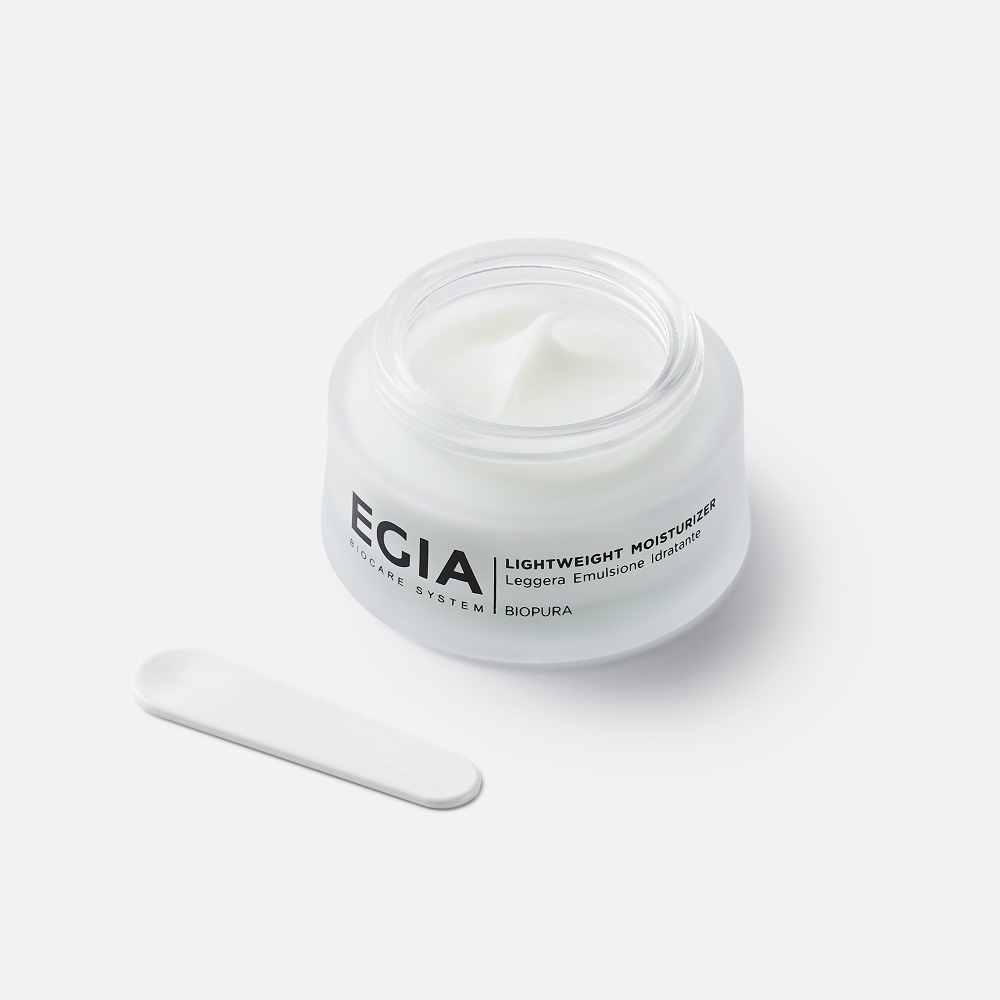 Крем легкий увлажняющий матирующий Lightweight Moisturizer купить в VISAGEHALL