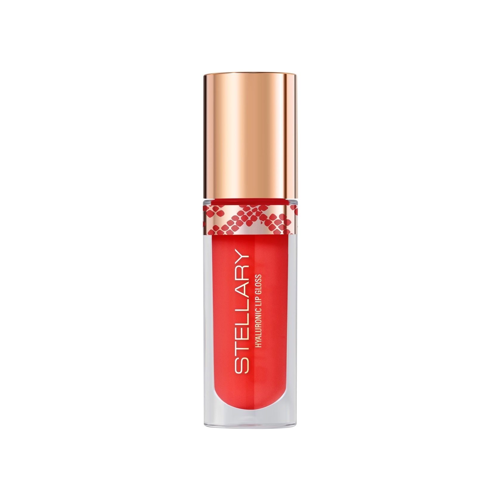 Блеск для губ Lipgloss Big Lips