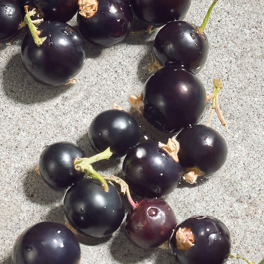 Dolce Violet Туалетная вода