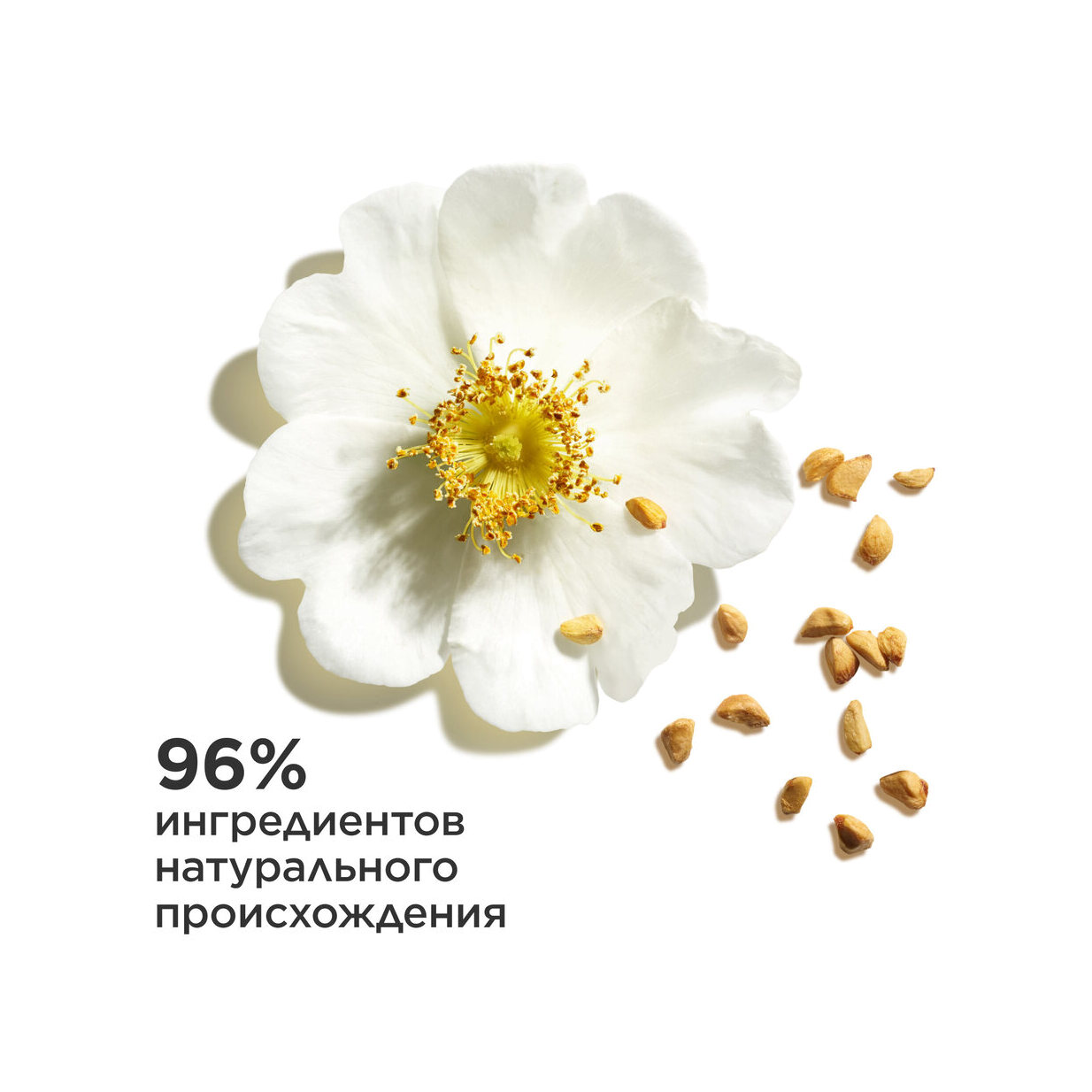 Бальзам для губ на основе масел Lip Oil Balm