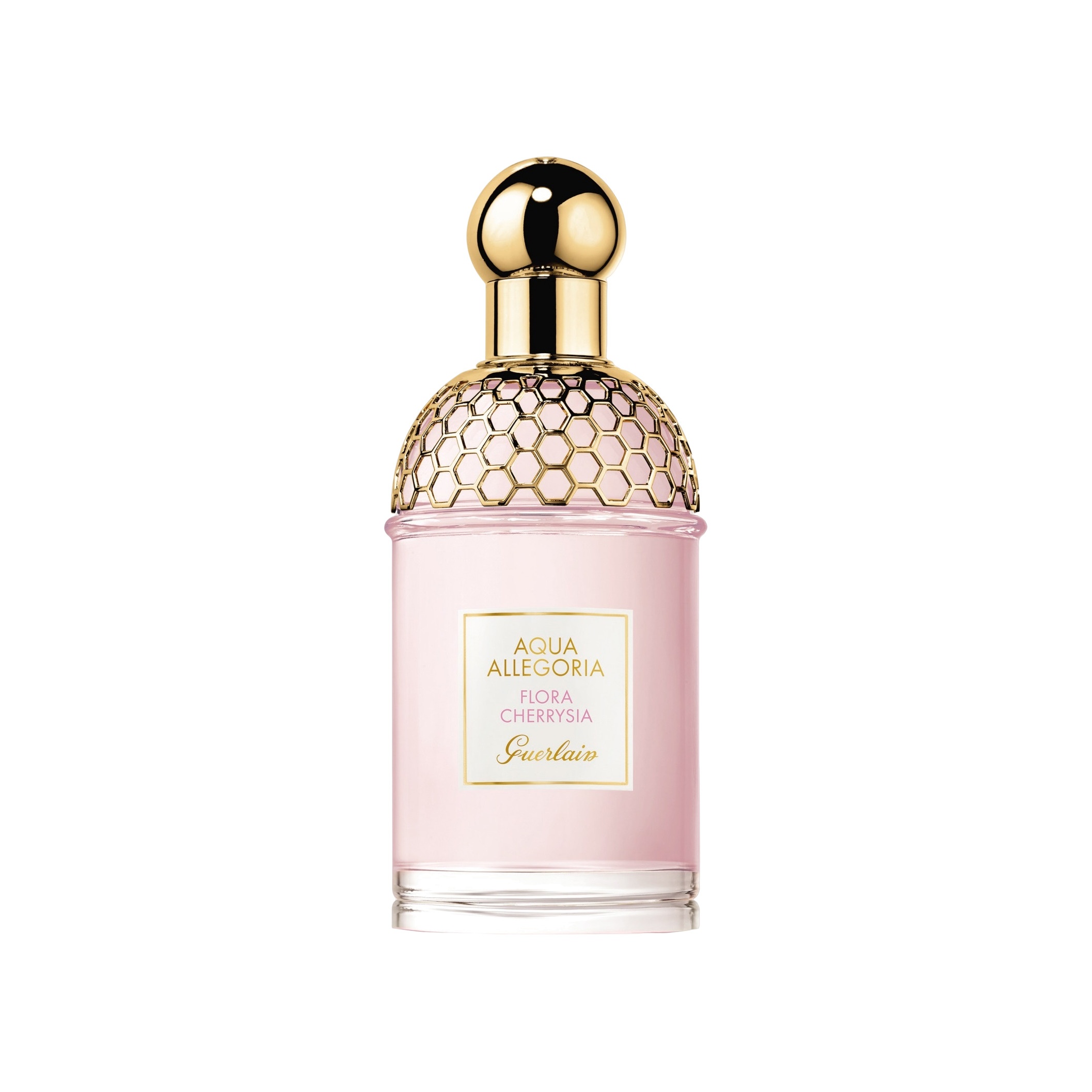 Aqua Allegoria Flora Cherrysia Туалетная вода  купить в VISAGEHALL