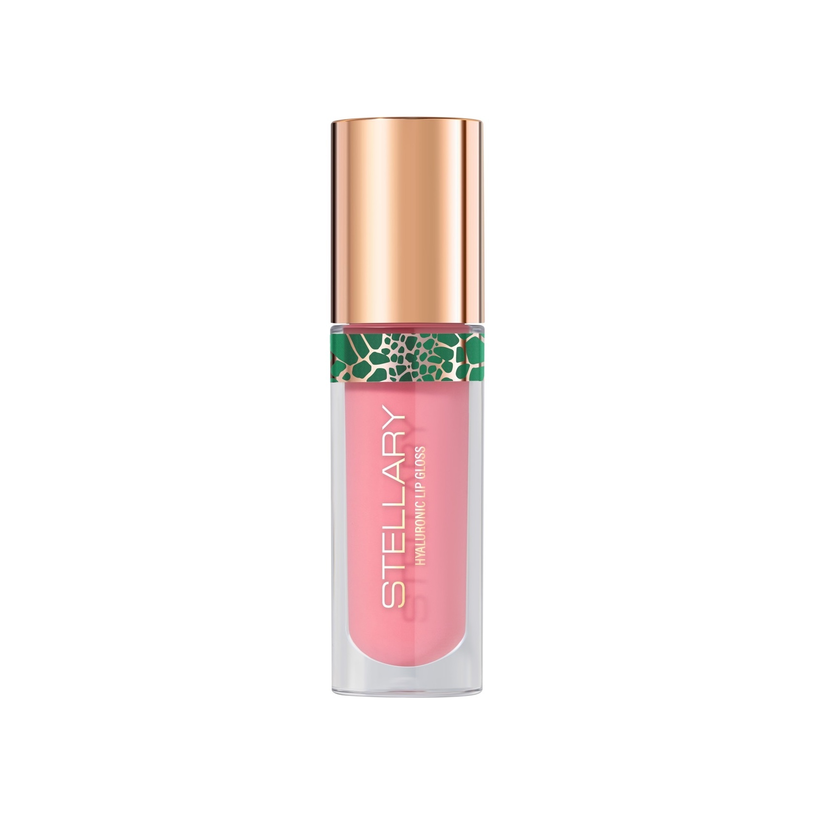 Блеск для губ Lipgloss Big Lips