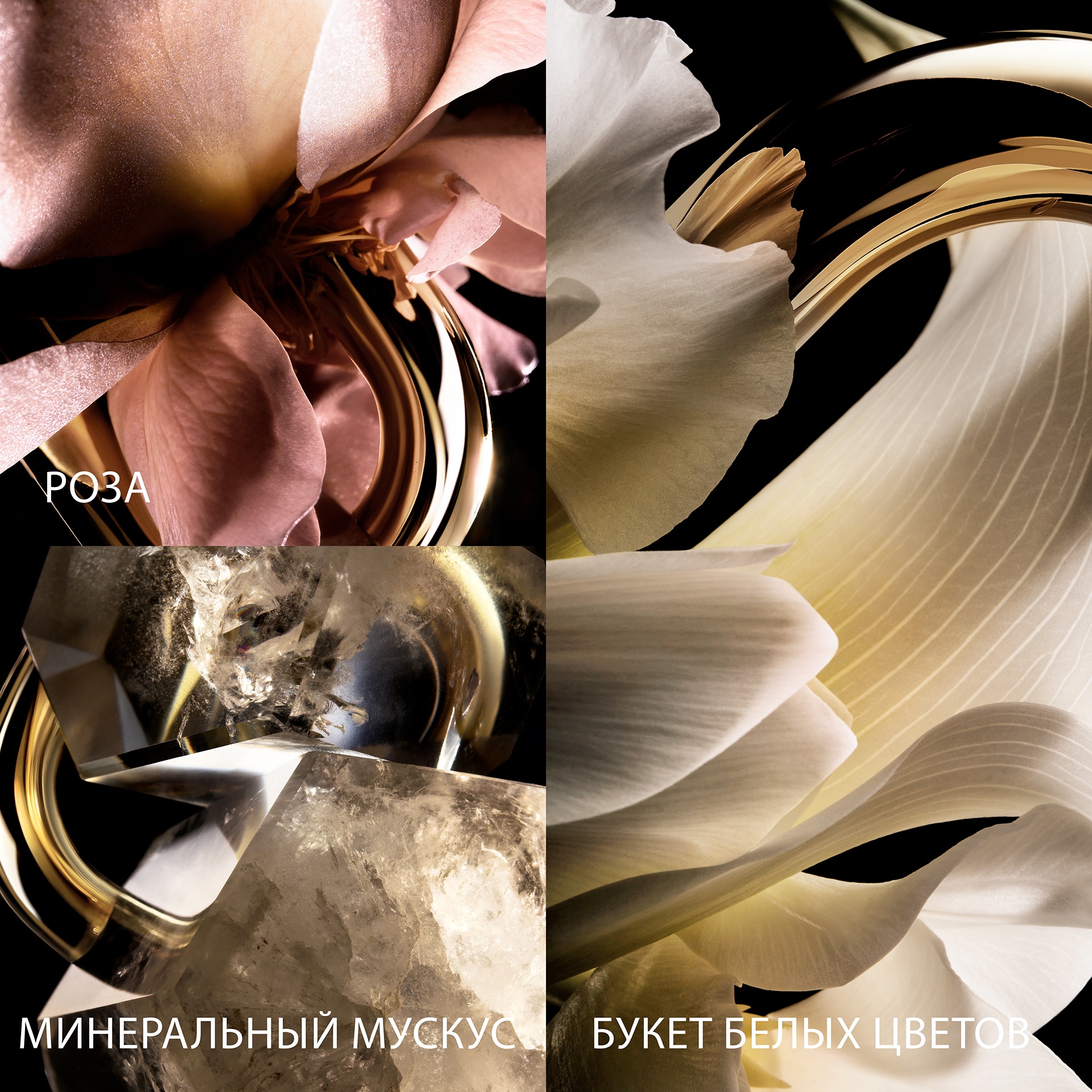 Million Gold Парфюмерная вода купить в VISAGEHALL