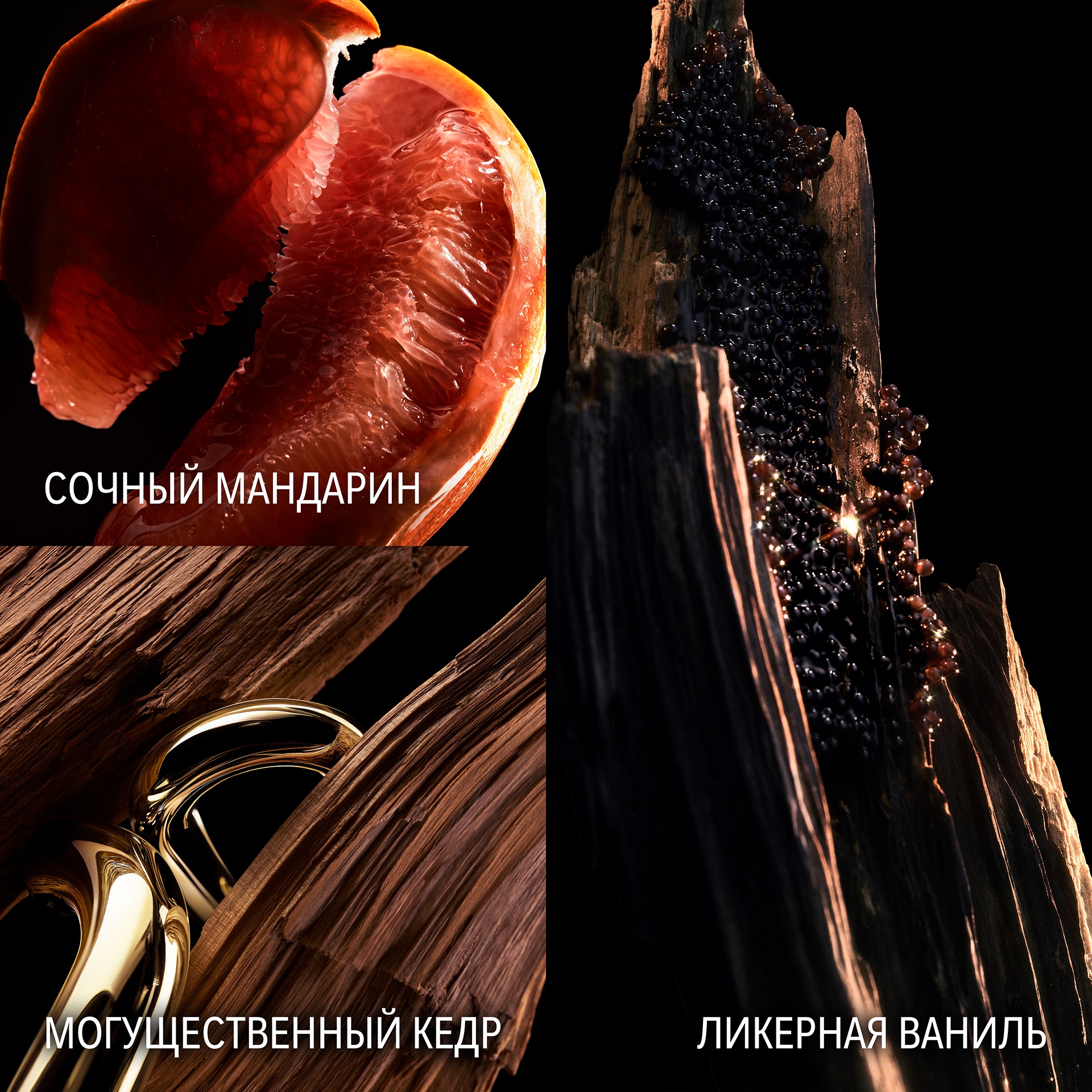 Million Gold Elixir Духи-спрей купить в VISAGEHALL