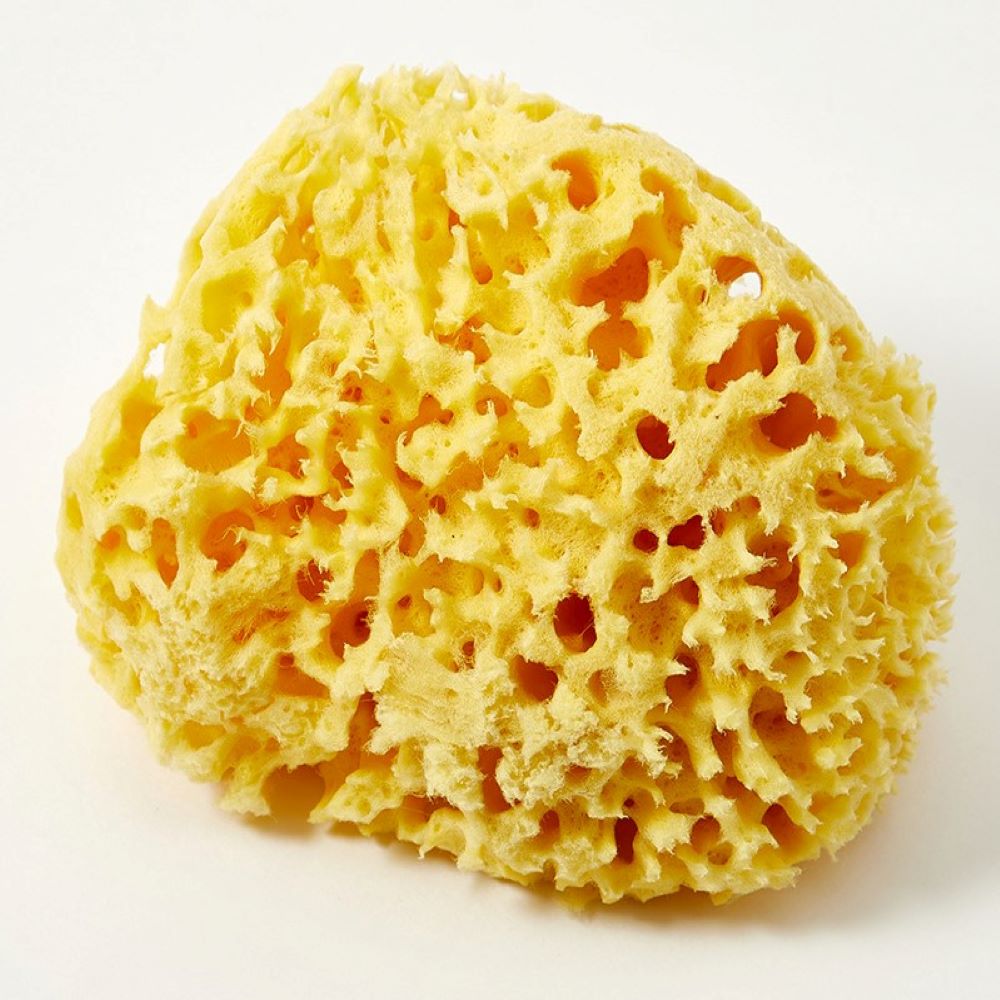 Губка натуральная №14 Honey Comb купить в VISAGEHALL