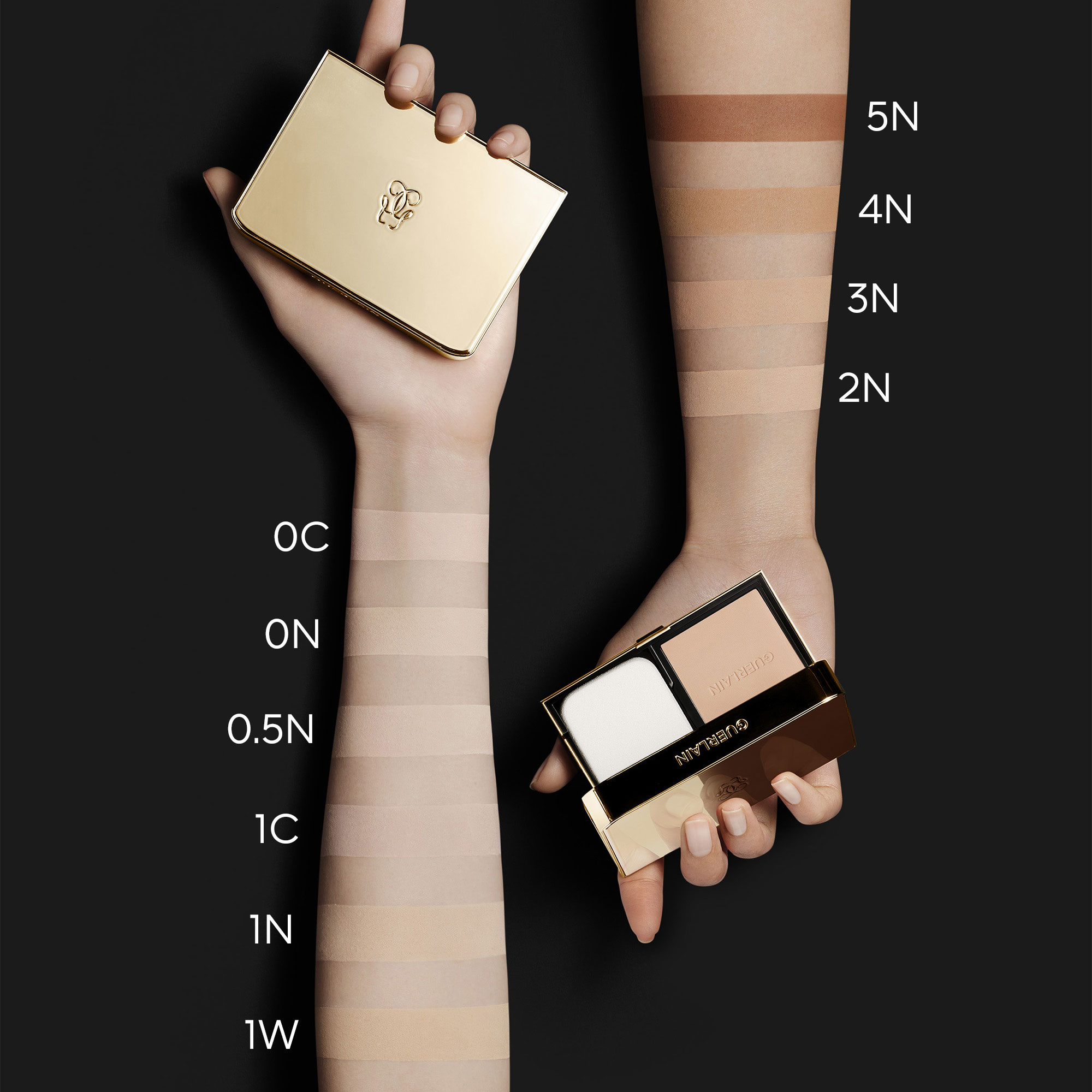 Пудра для лица компактная Parure Gold Skin Control 