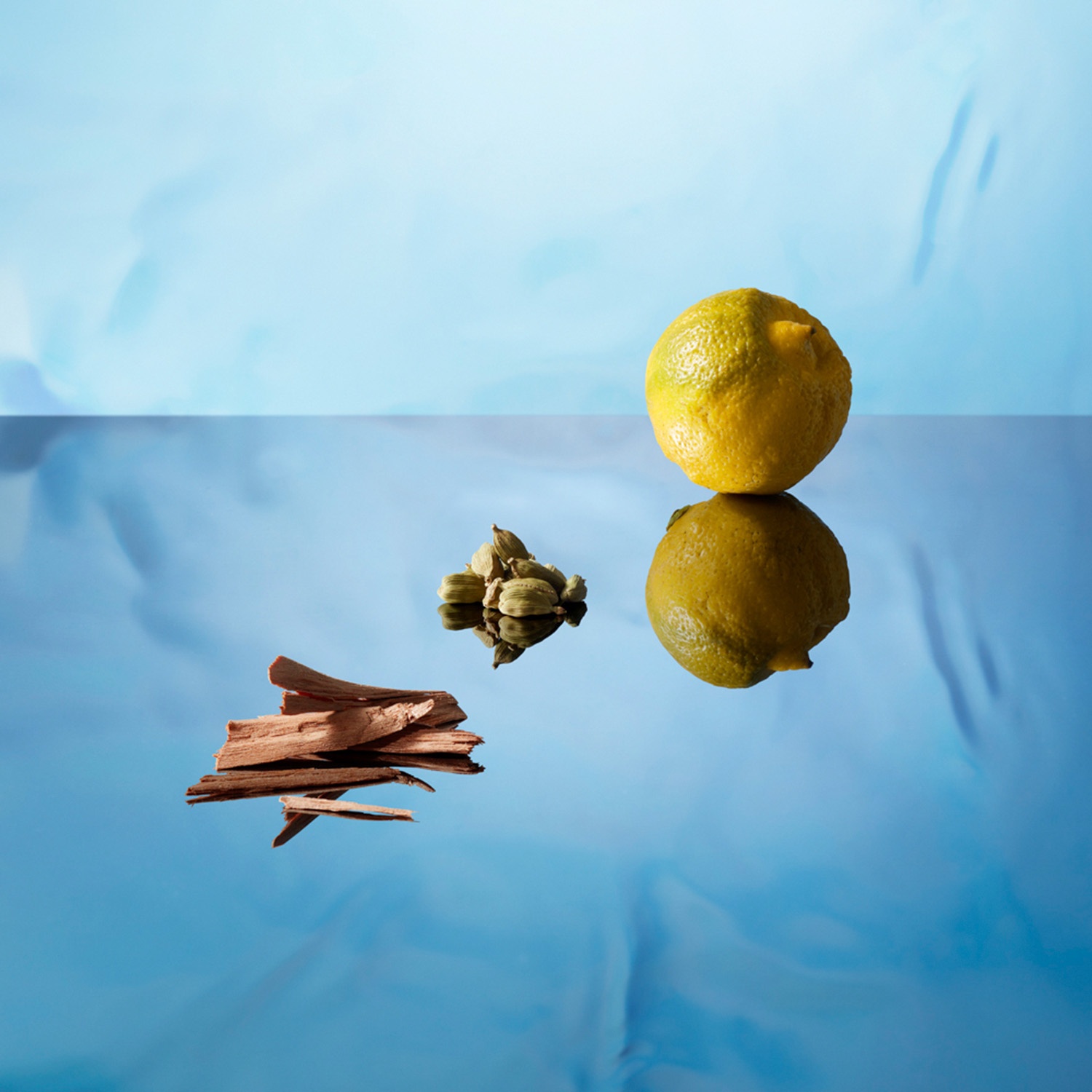 Blue Seduction homme Туалетная вода купить в VISAGEHALL