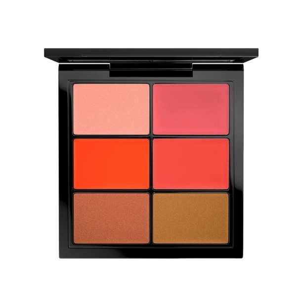 ПАЛЕТКА ДЛЯ ГУБ PRO LIP PALETTE 6 EDITORIAL ORANGES купить в VISAGEHALL