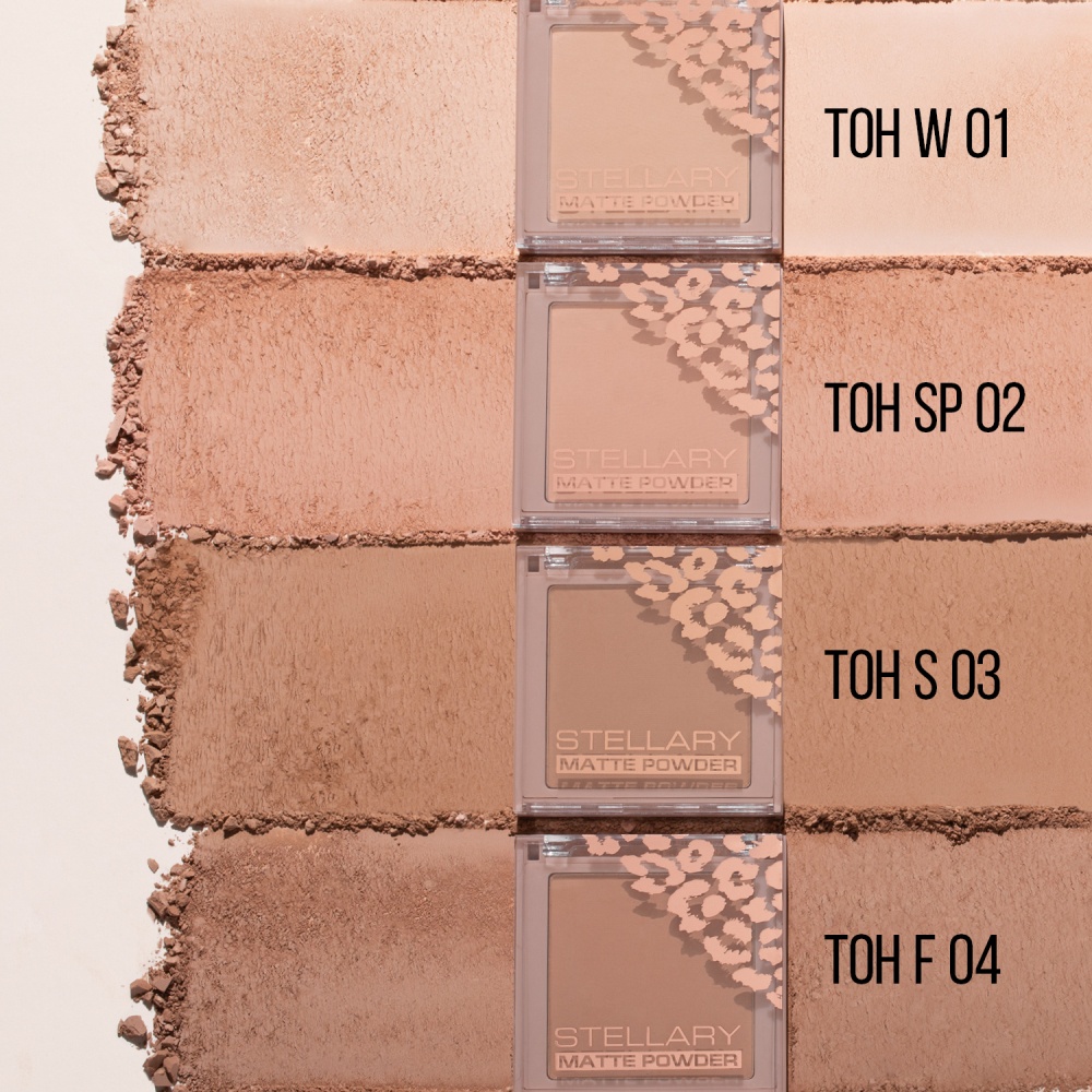 Пудра для лица Soft Matte Powder 
