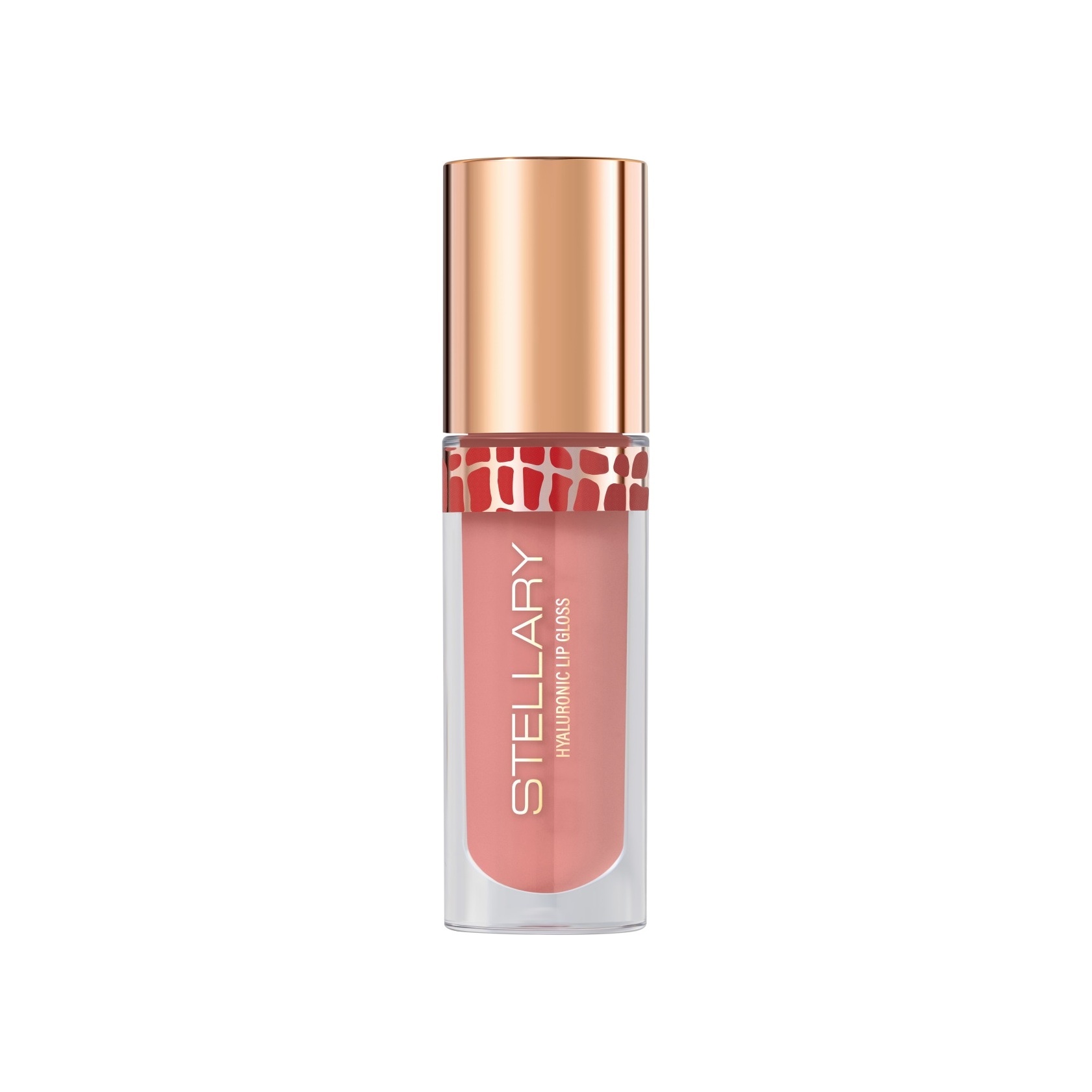 Блеск для губ Lipgloss Big Lips