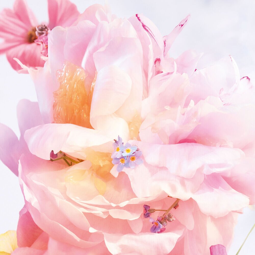 Miss Dior Blooming Bouquet Туалетная вода