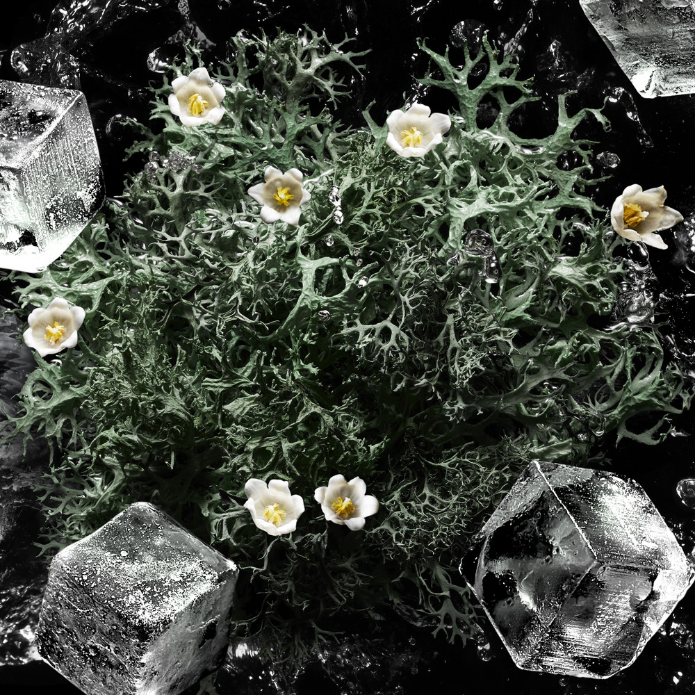 Vodka on the Rocks Парфюмерная вода