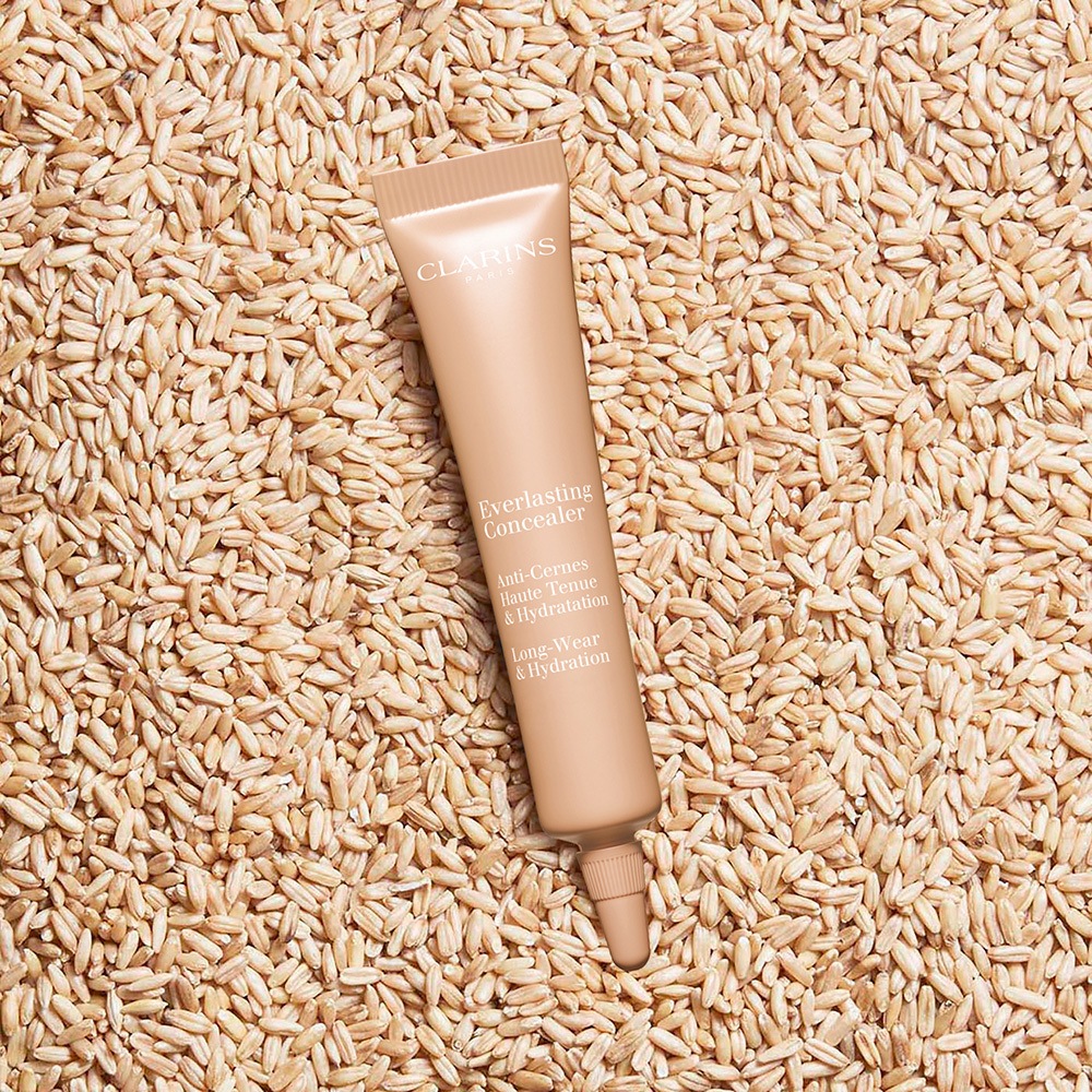 Консилер устойчивый Everlasting Concealer 