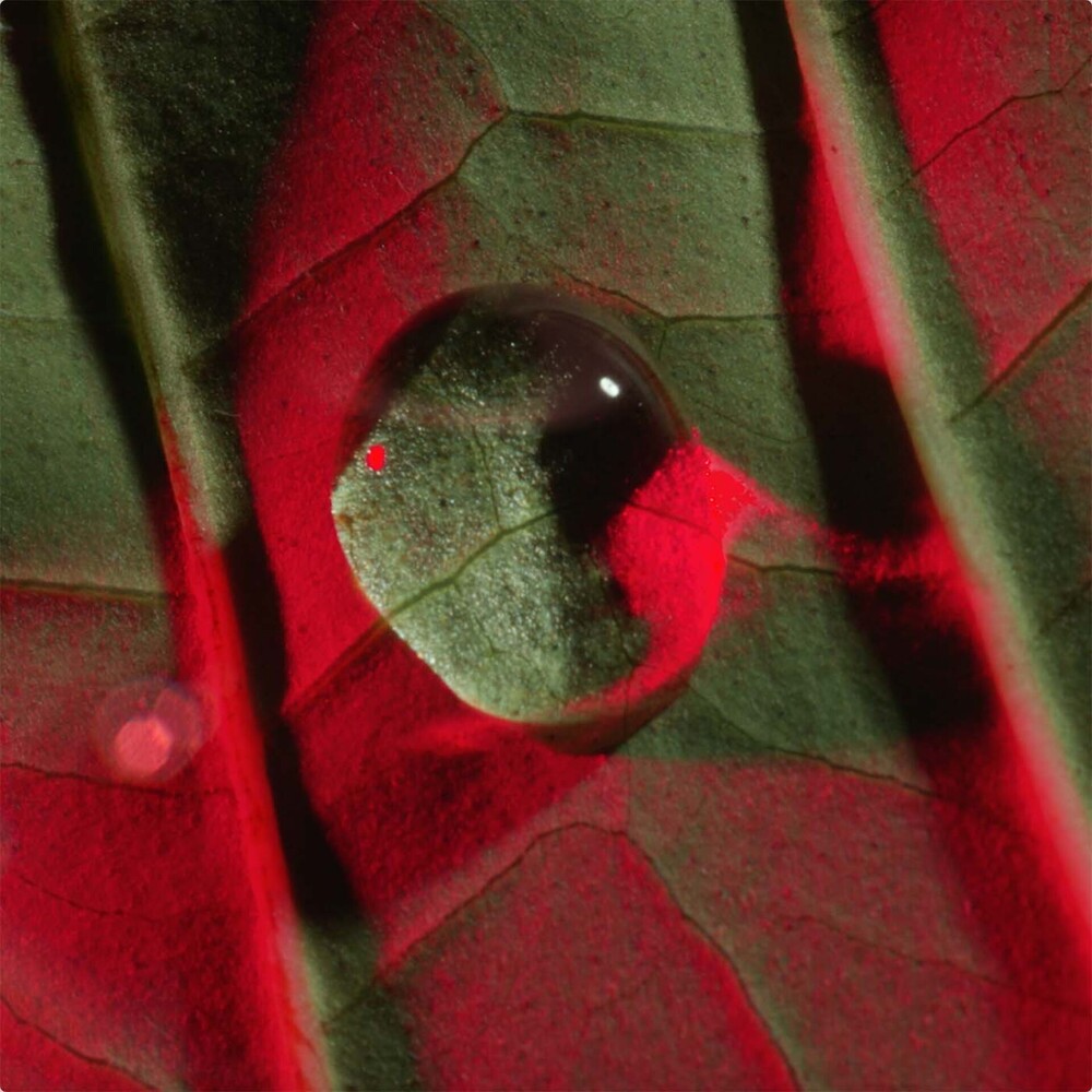 Лифтинг-концентрат для кожи вокруг глаз с восстанавливающим действием (сменный блок) Total Eye Lift купить в VISAGEHALL