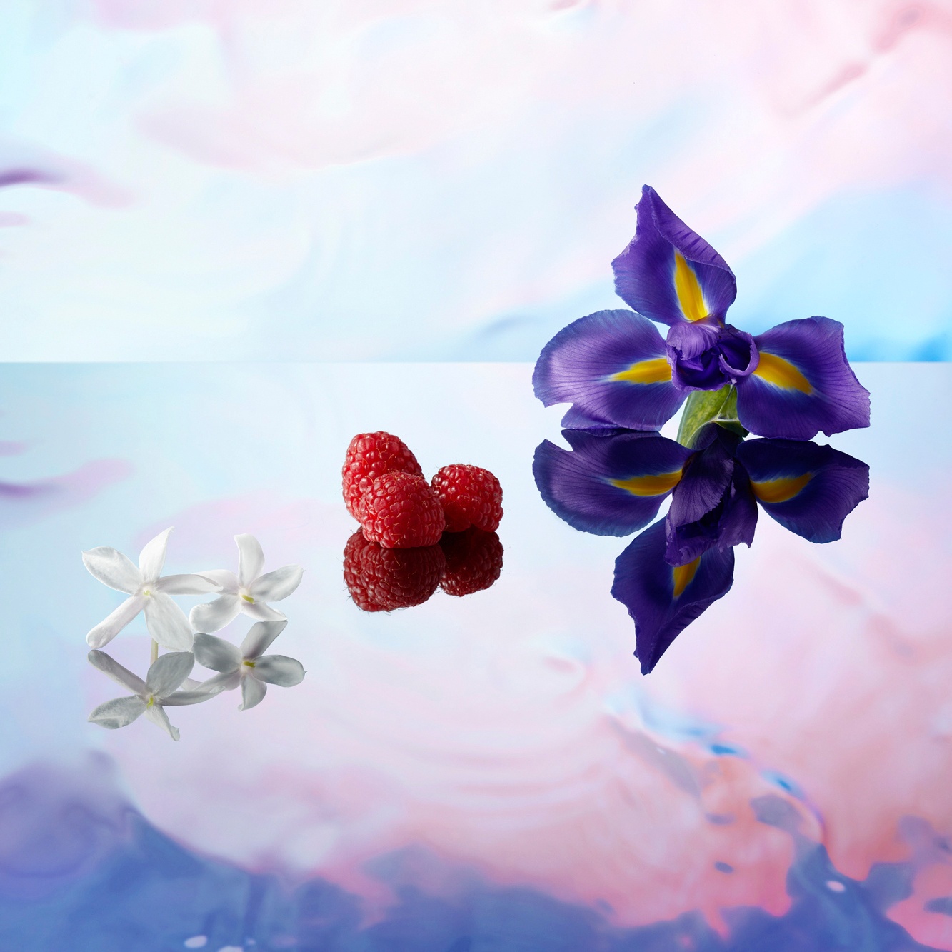 Queen Of Seduction femme Туалетная вода купить в VISAGEHALL