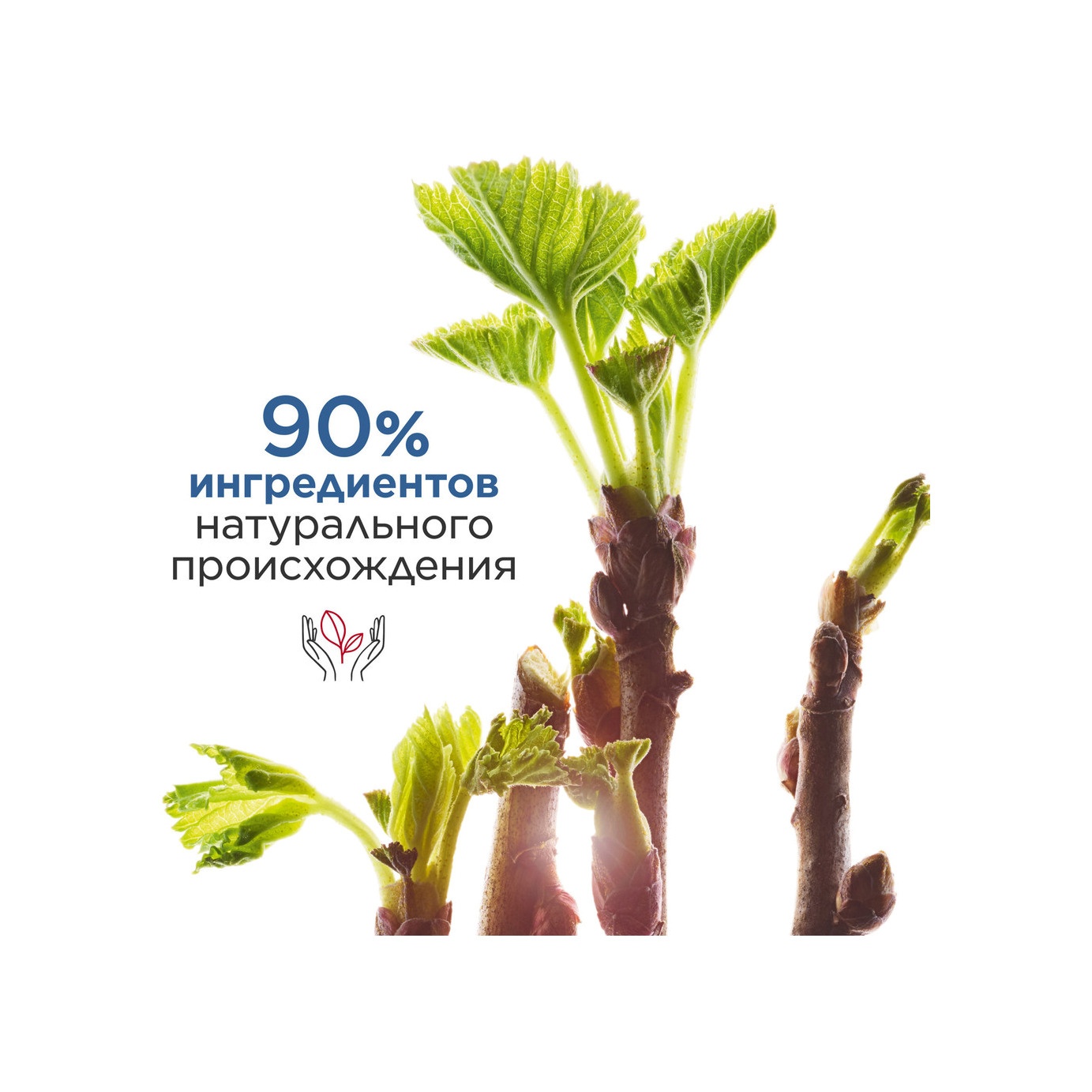 Гель для бритья пенящийся Gel Moussant Rasage Ideal  купить в VISAGEHALL