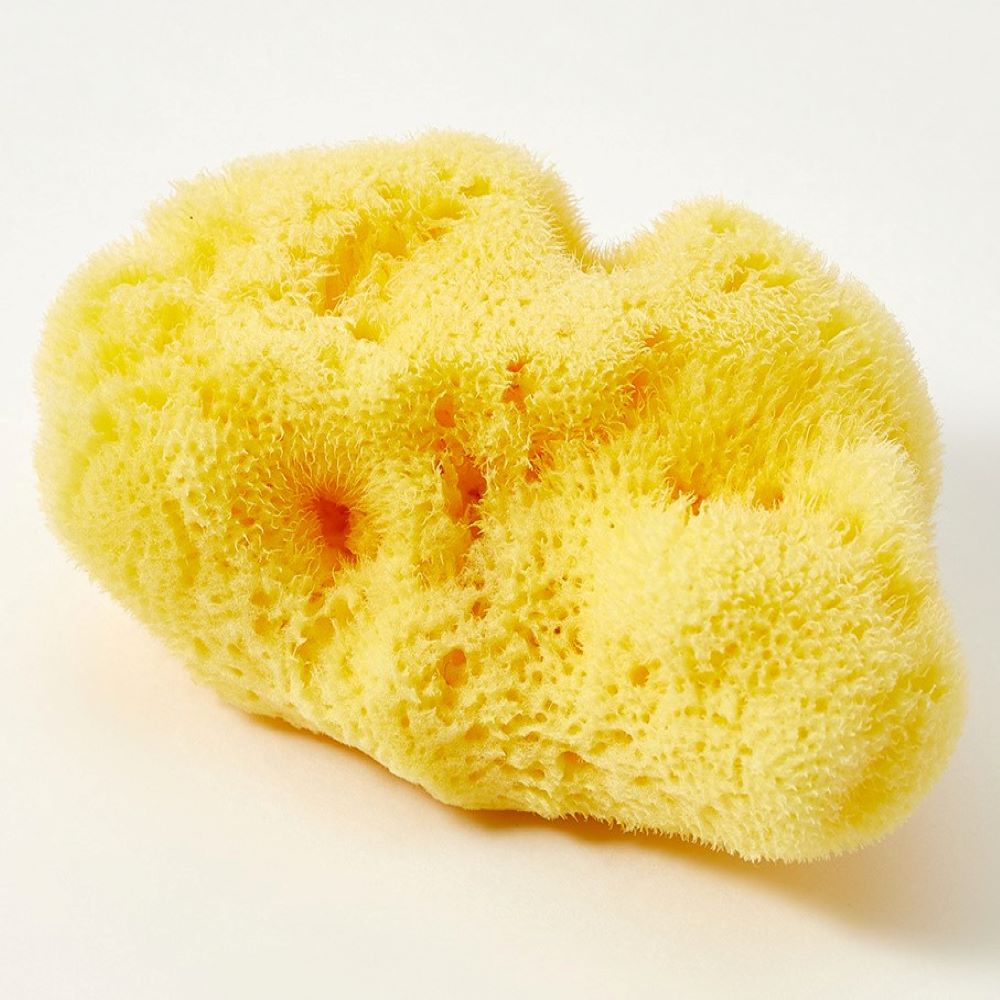 Губка Babu натуральная №10 в Bio упаковке  купить в VISAGEHALL