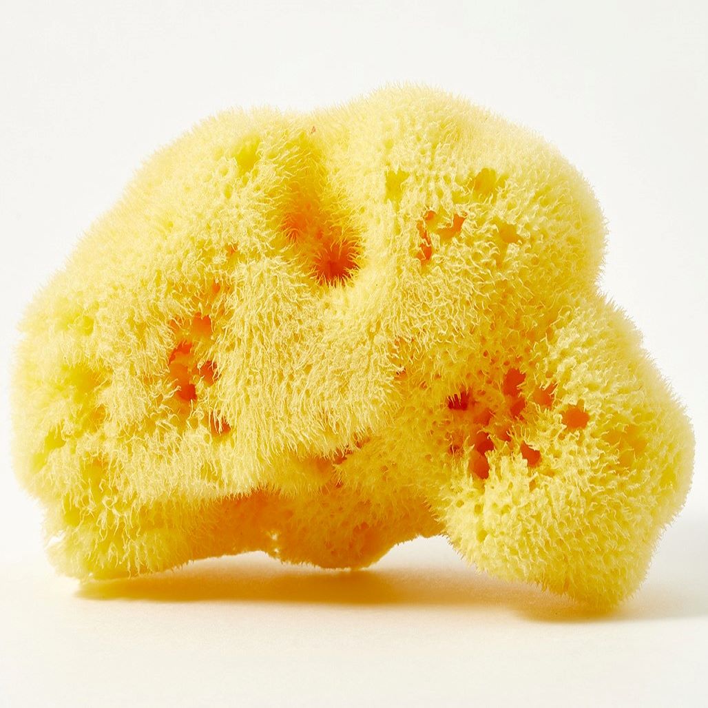 Губка Babu натуральная №10 в Bio упаковке  купить в VISAGEHALL