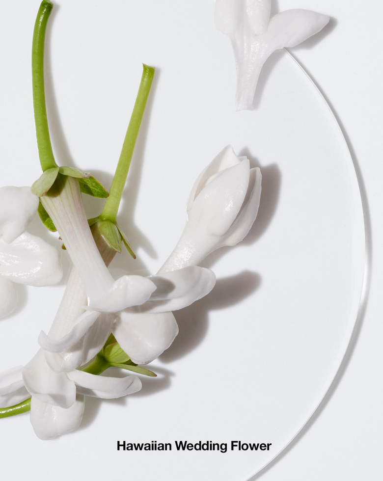 Happy femme Парфюмерная вода  купить в VISAGEHALL